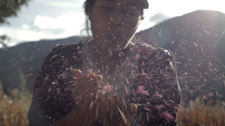 Mothers Of The Land 2 <i>Sembradoras de Vida</i> [Toprağın Anaları] (2019) filminden bir kare 
©Cinema Expandido