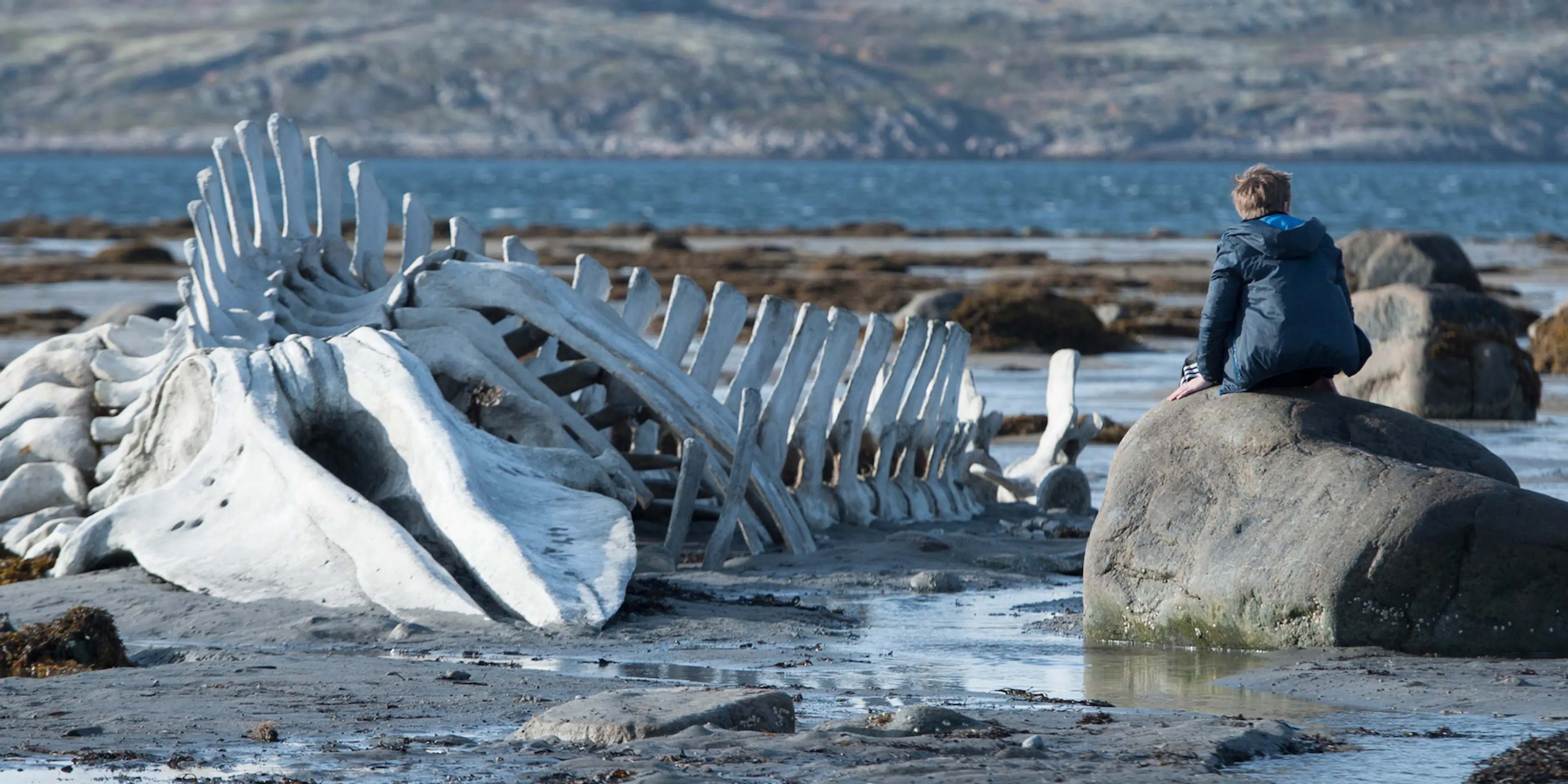Leviafan [Leviathan] (2014) filminden bir kare ©Calinos Films