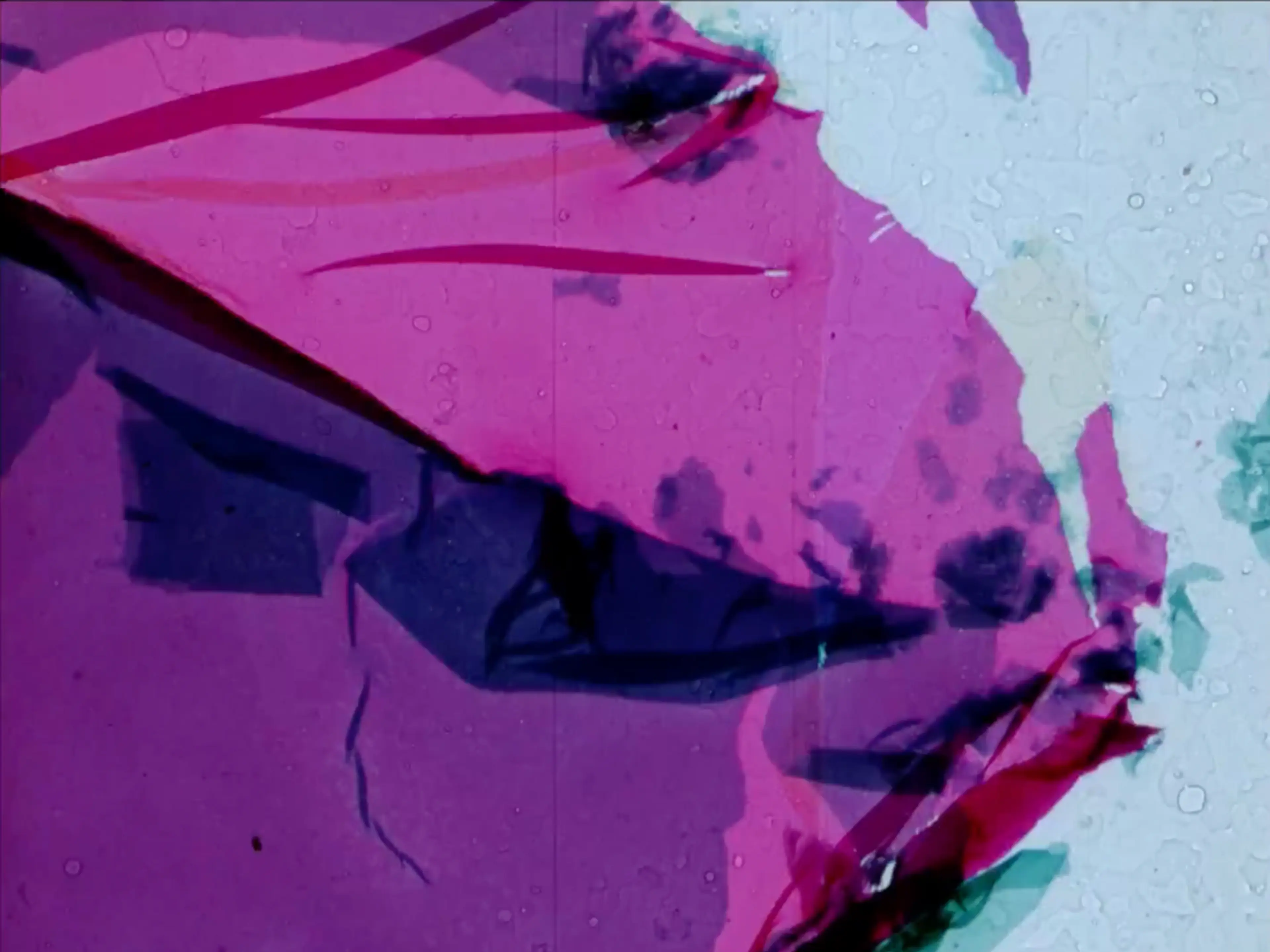 What the Water Said, Nos. 1-3 [Suyun Söyledikleri, No. 1-3] (1997) filminden bir kare @David Gatten