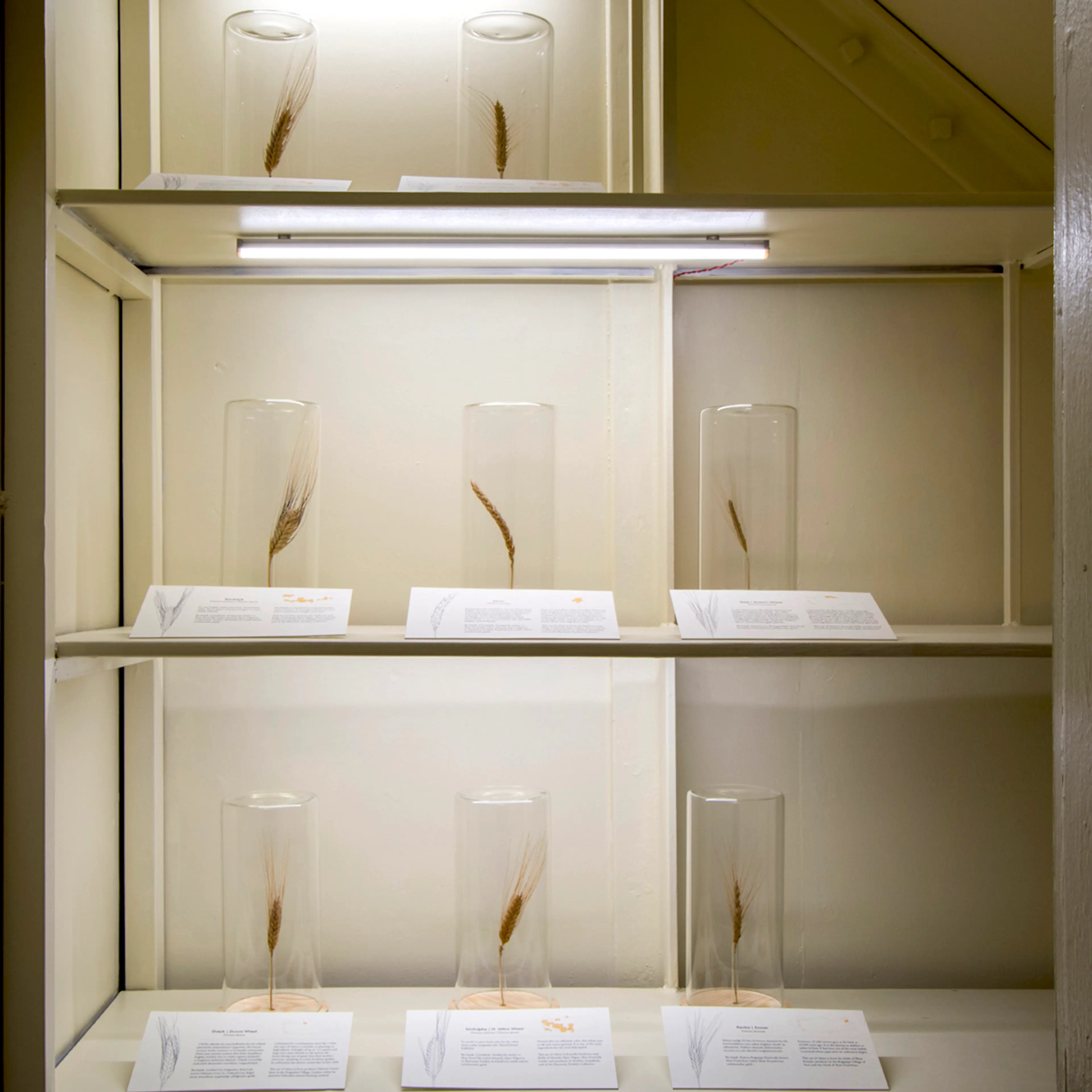 Futurefarmers, Seed Journey , 2017 The Uses of Art: Final Exhibition , SALT Galata, 2017 Photo: Mustafa Hazneci