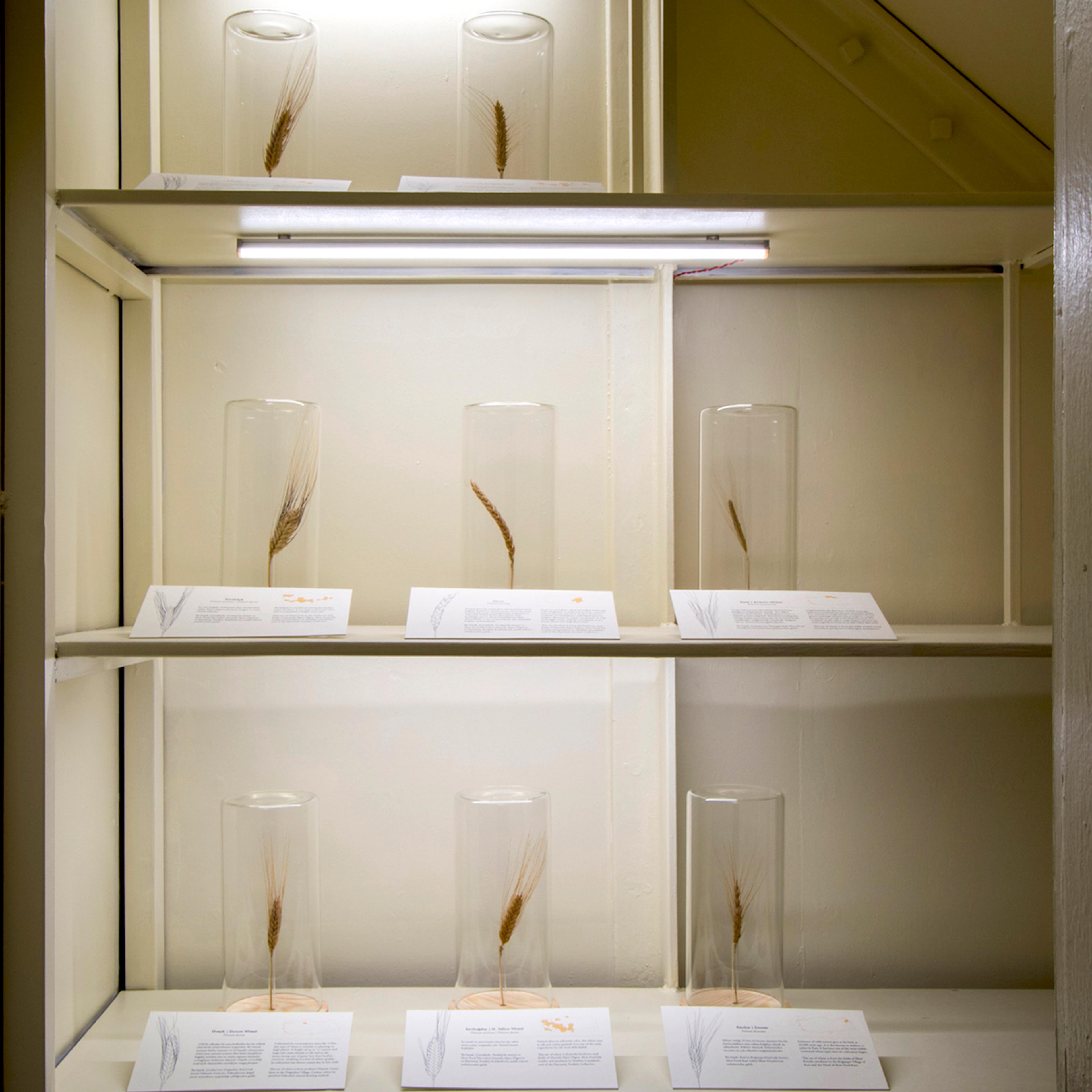 Futurefarmers, Seed Journey , 2017 The Uses of Art: Final Exhibition , SALT Galata, 2017 Photo: Mustafa Hazneci