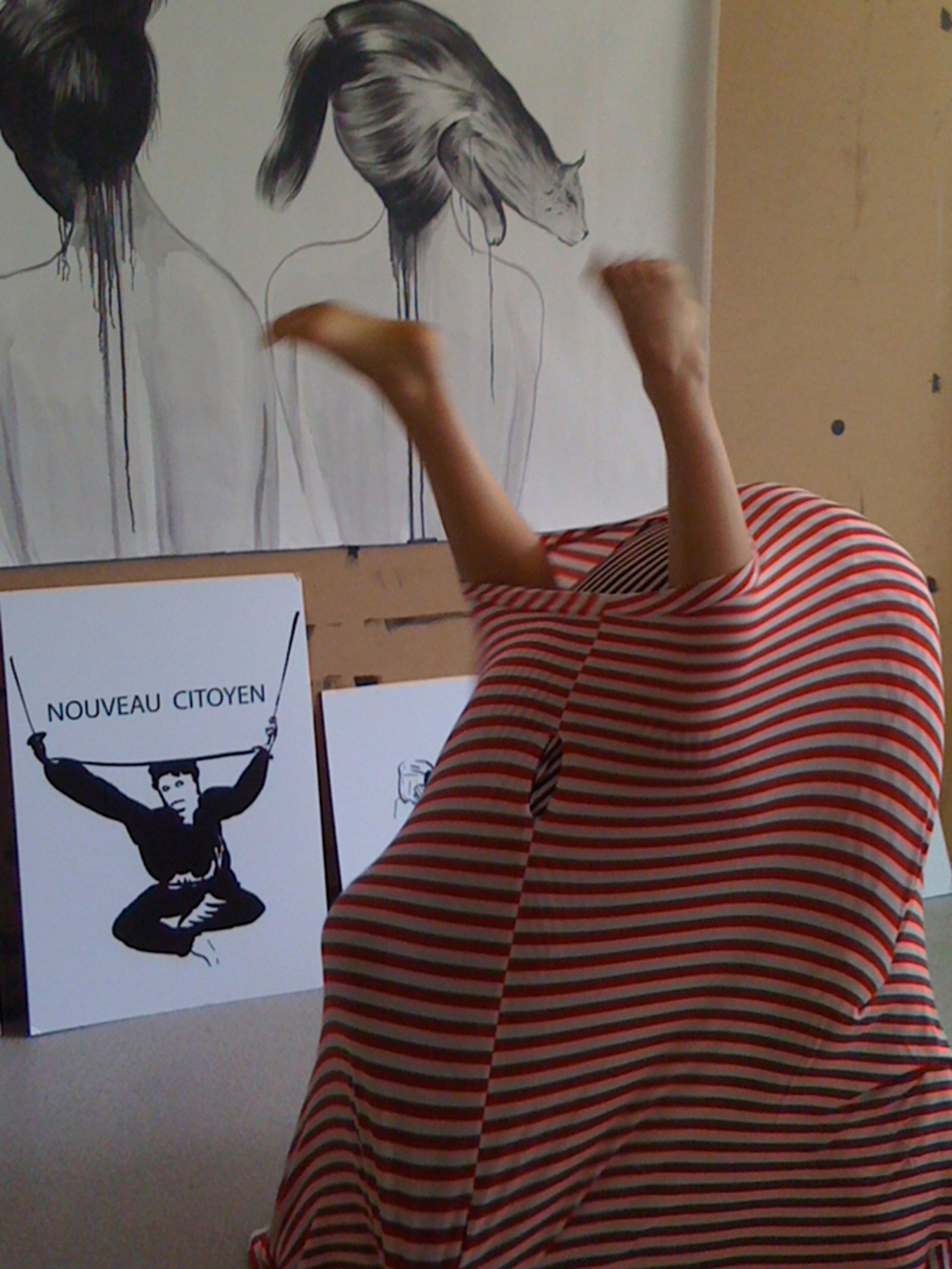 İnci Eviner, Rehearsal for Parliament , 2009