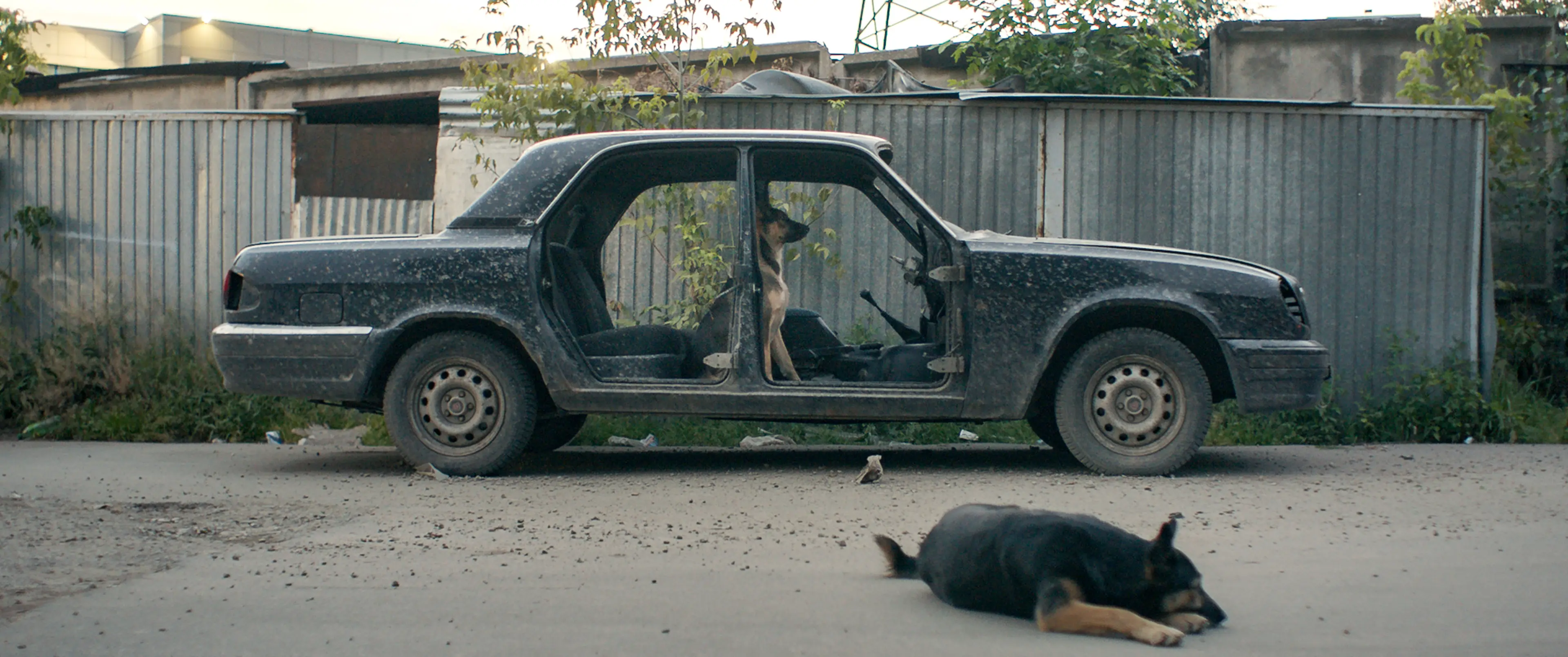 Space Dogs [Uzay Köpekleri] (2019) filminden bir kare ©Deckert Distribution GmbH