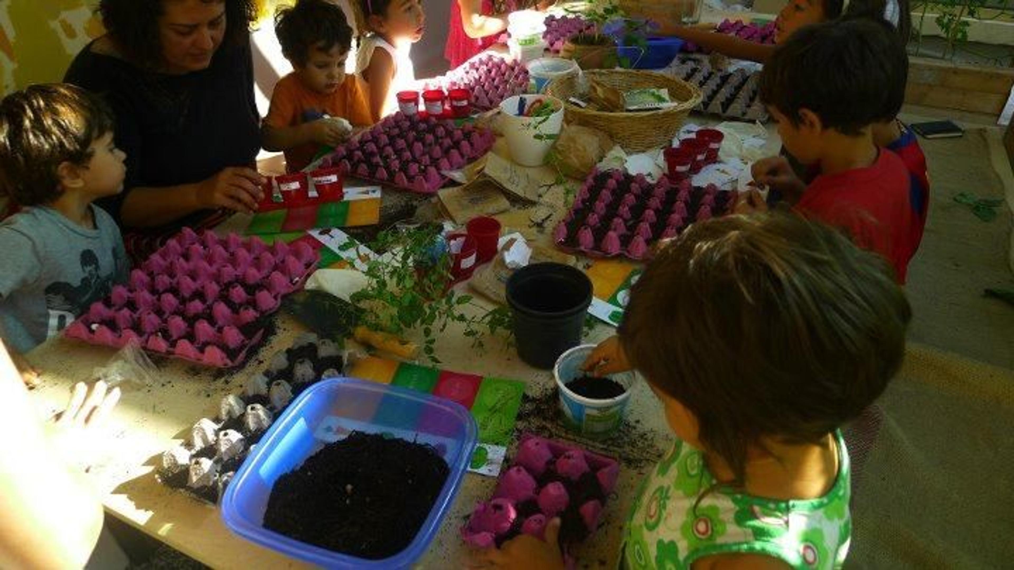 Atölye: Kardes Bitkiler, Eylül 2011