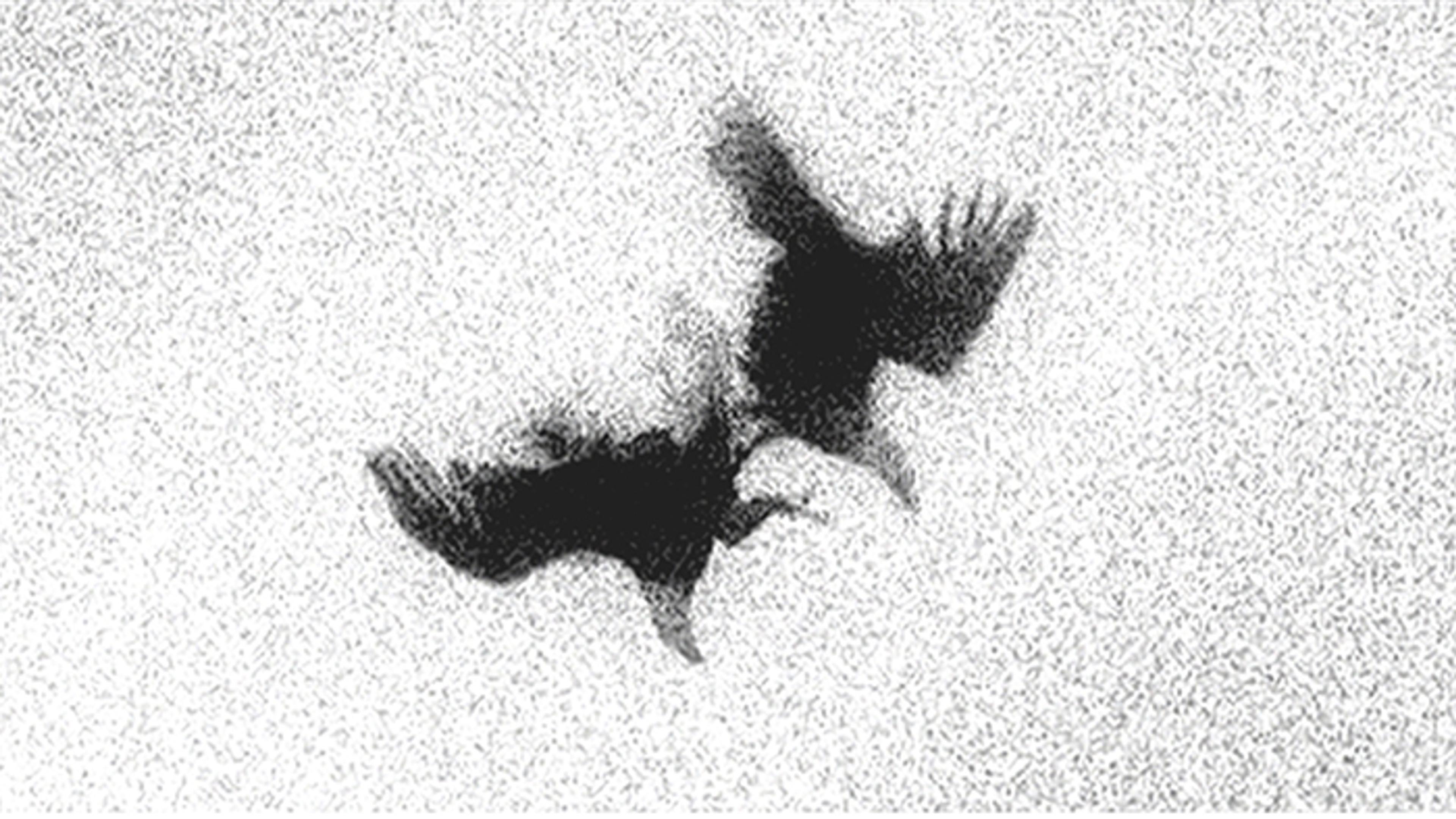 Didem Pekün, still from Of dice and men , 2011 ongoing