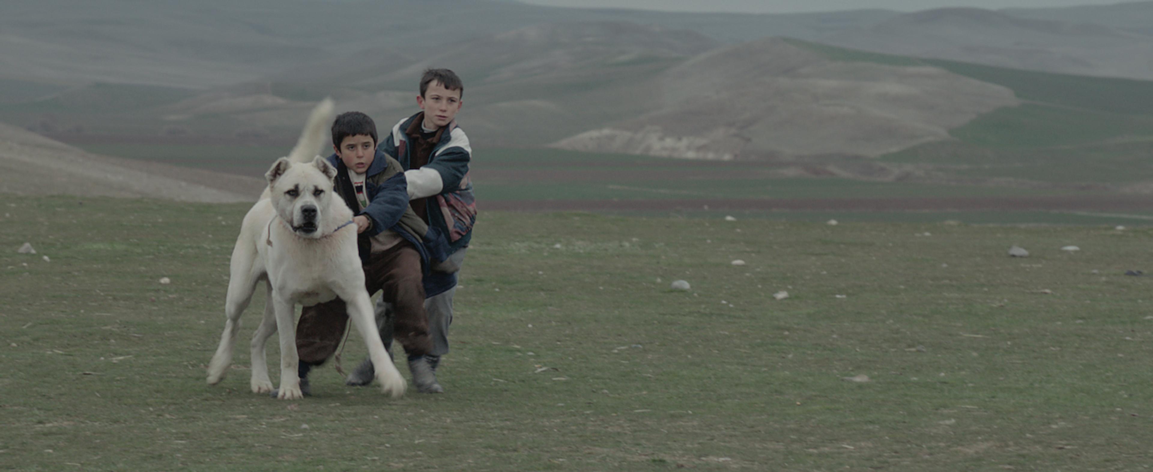 Still from Sivas (2014) ©Colored Giraffes