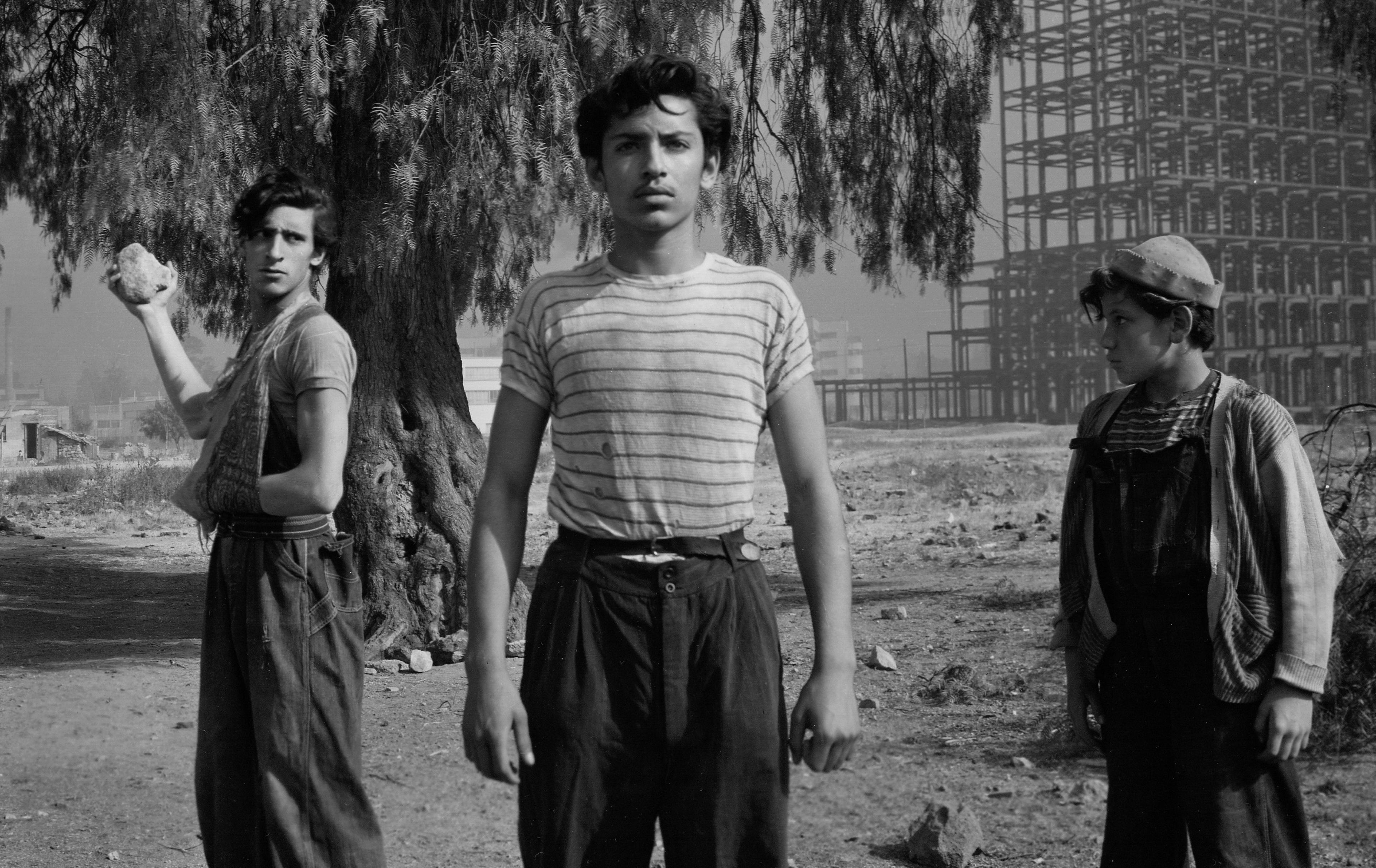 Still from Los Olvidados [The Forgotten] (1950) ©Embassy of Mexico in Türkiye
