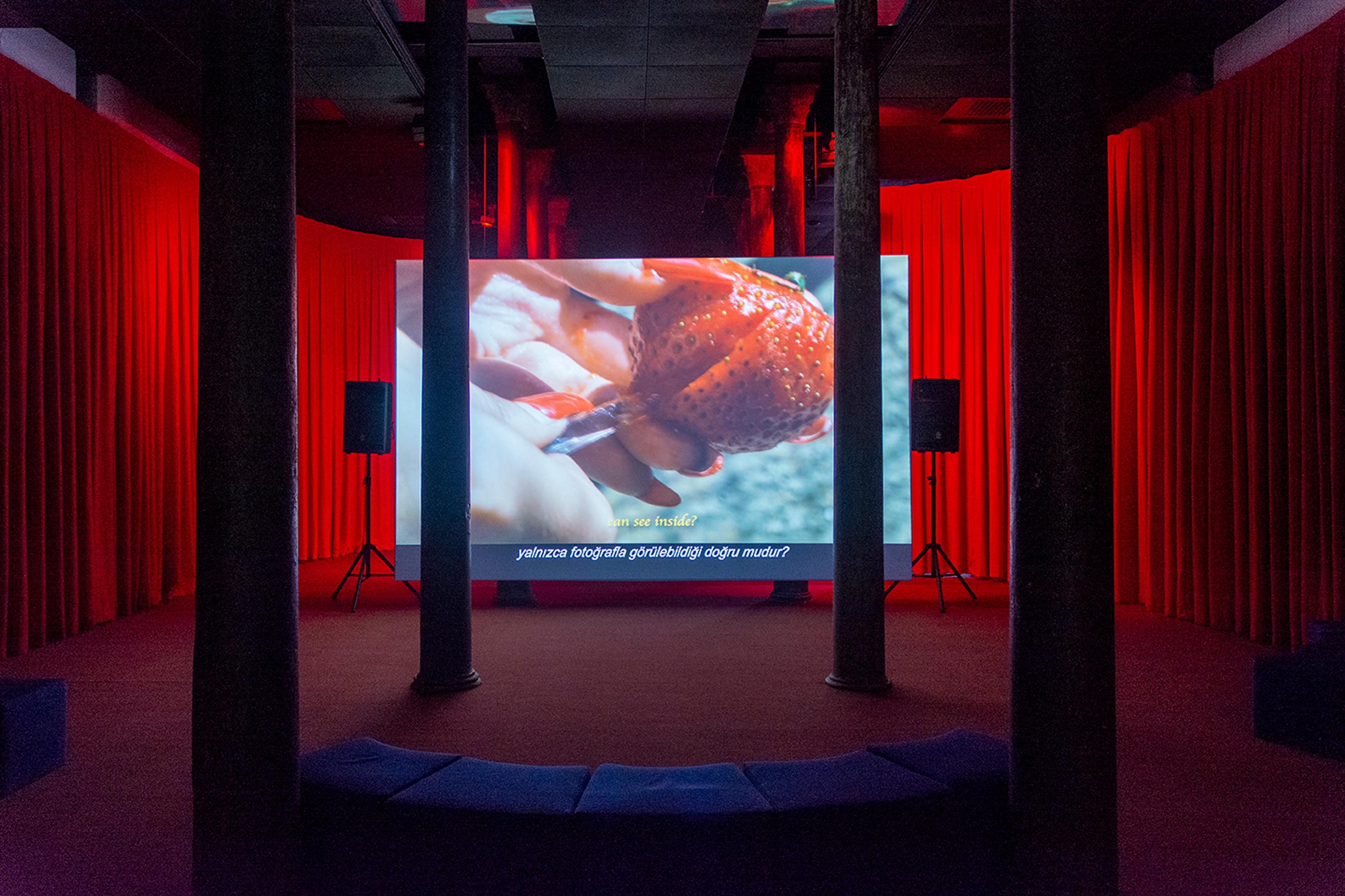 Diane Severin Nguyen, IF REVOLUTION IS A SICKNESS [EĞER DEVRİM HASTALIKSA] (2021), Bilinmeyene Doğru sergisinden görünüm, Salt Beyoğlu, 2022 Fotoğraf: Mustafa Hazneci (Salt)