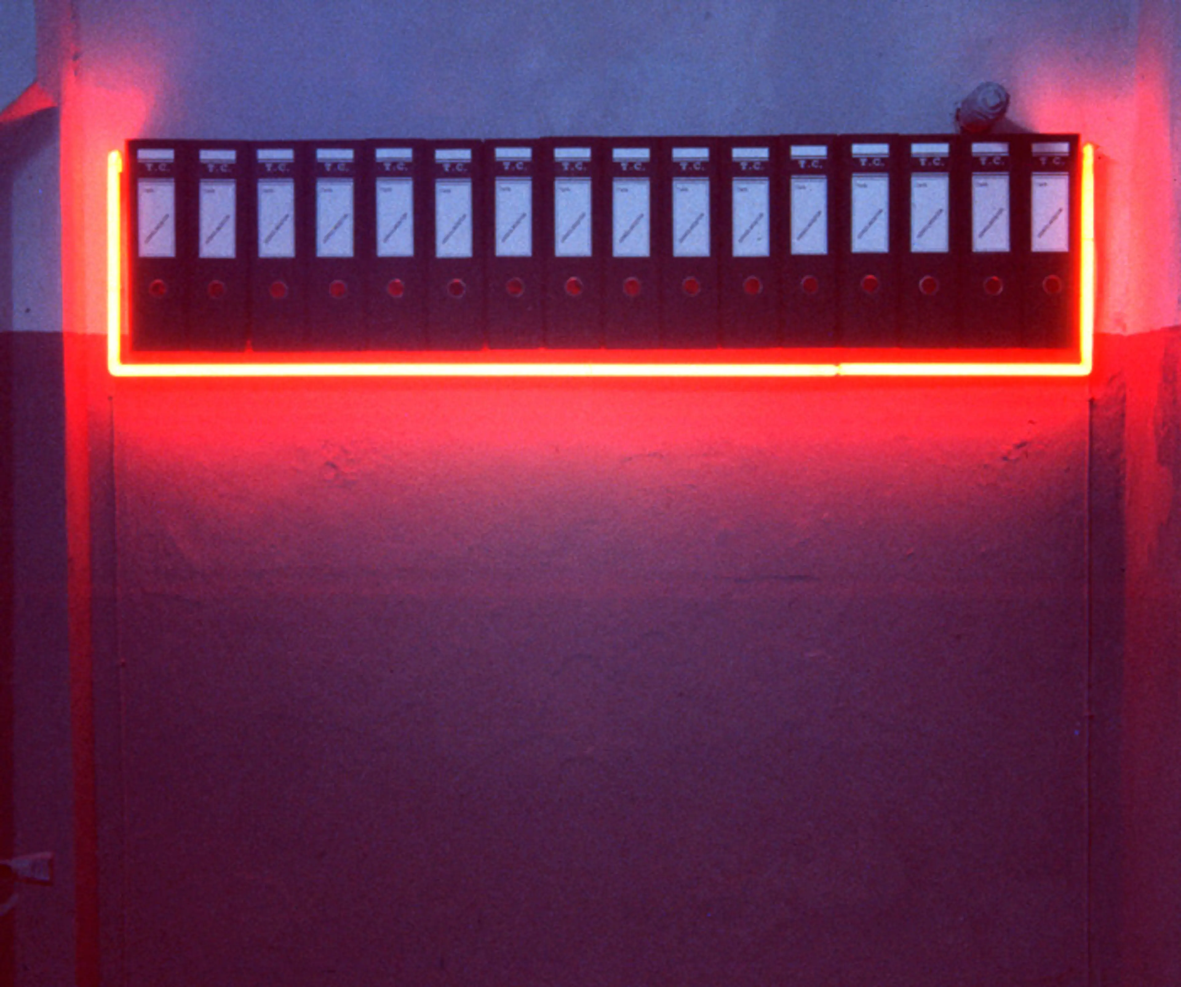 Emre Zeytinoğlu, Devletin Belleği [The Memory of the State], Elli Numara [Number Fifty] / Anı/Bellek II [Memory/Recollection II] exhibition, 1993.