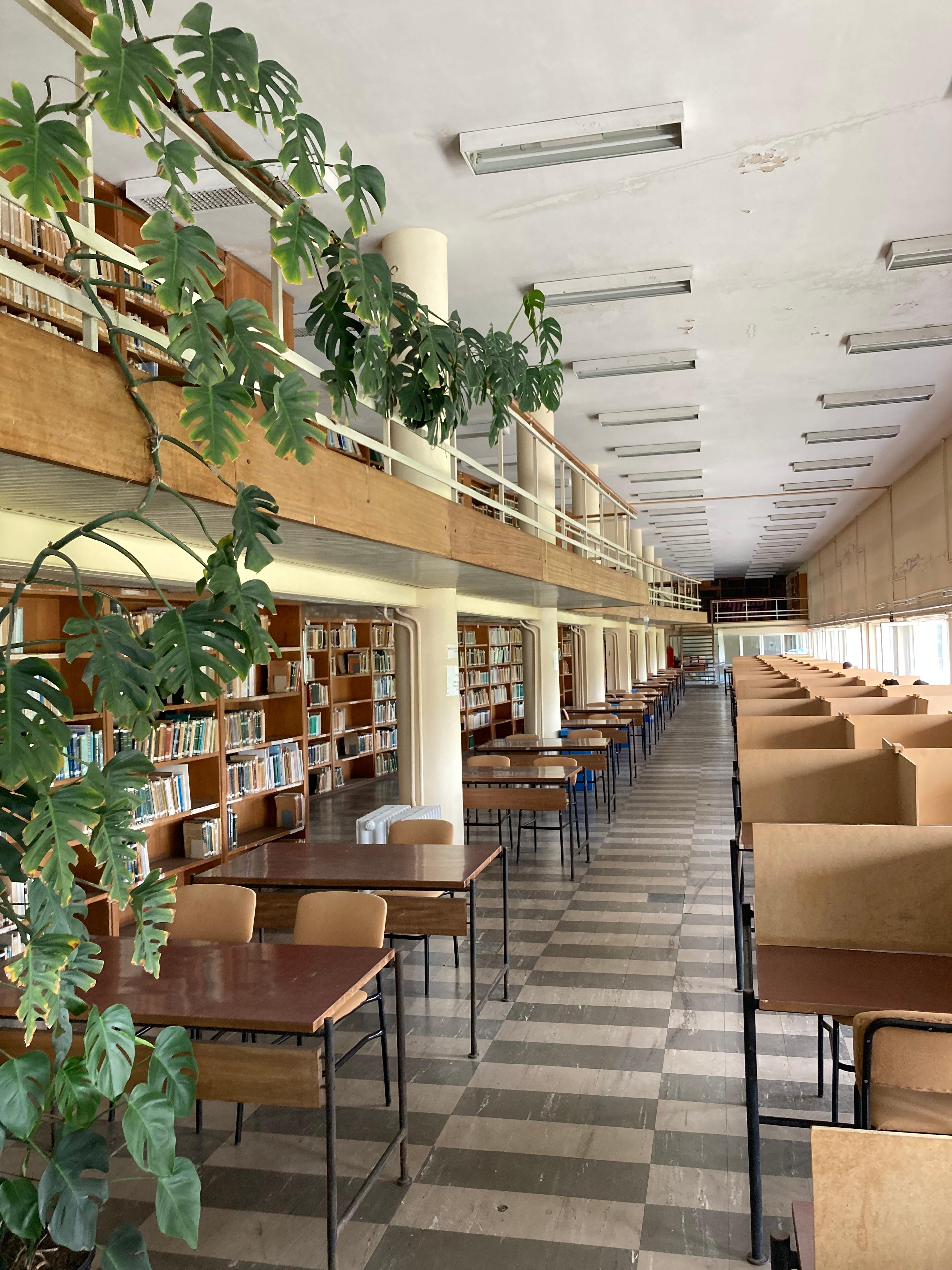 İstanbul Üniversitesi Orman Fakültesi’nin kütüphanesinden fotoğraf