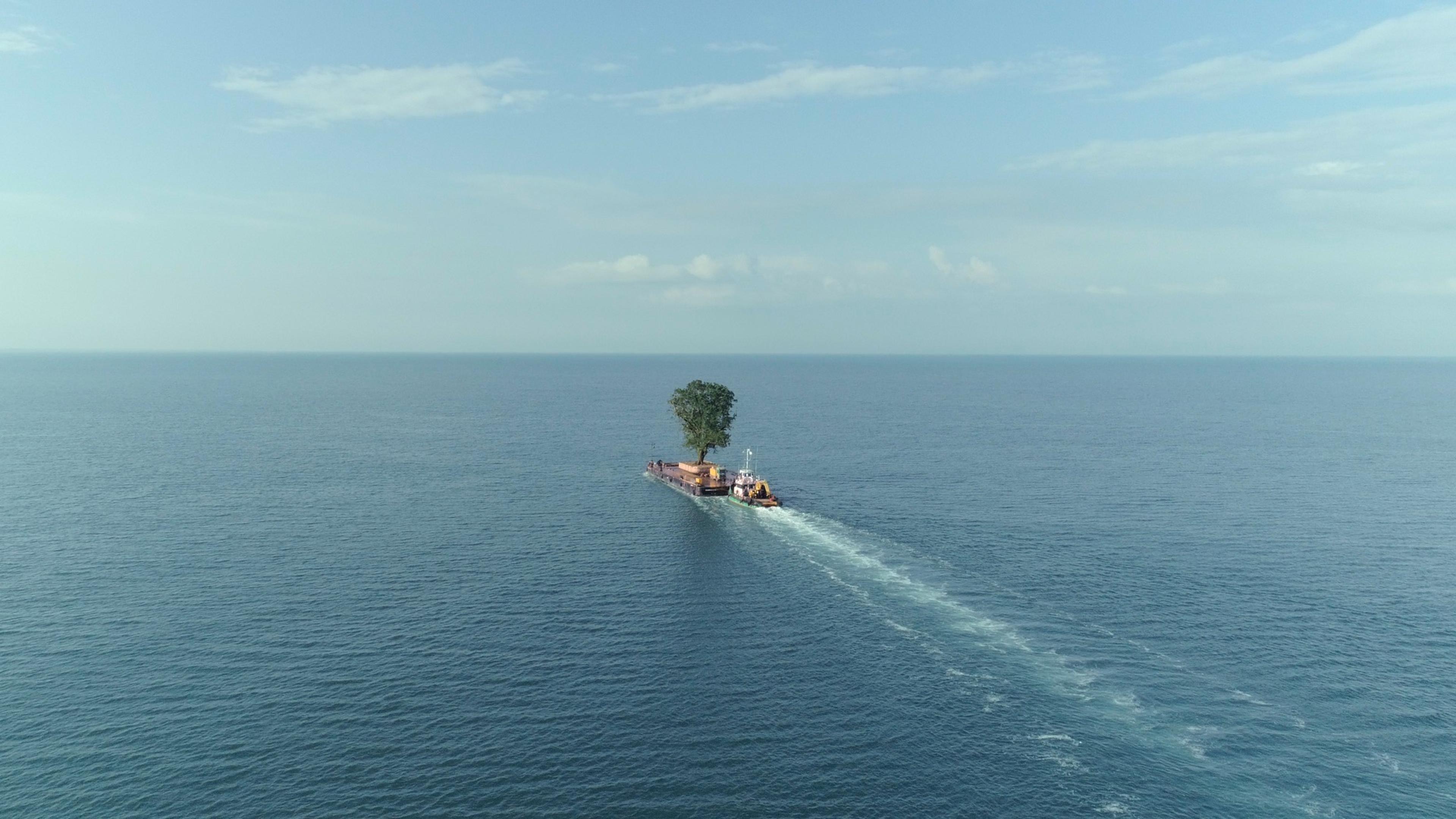 Taming the Garden [Bahçeyi Evcilleştirmek] (2021) filminden bir kare ©Vadim Jendreyko, Erik Winker, Martin Roelly, Salomé Jashi