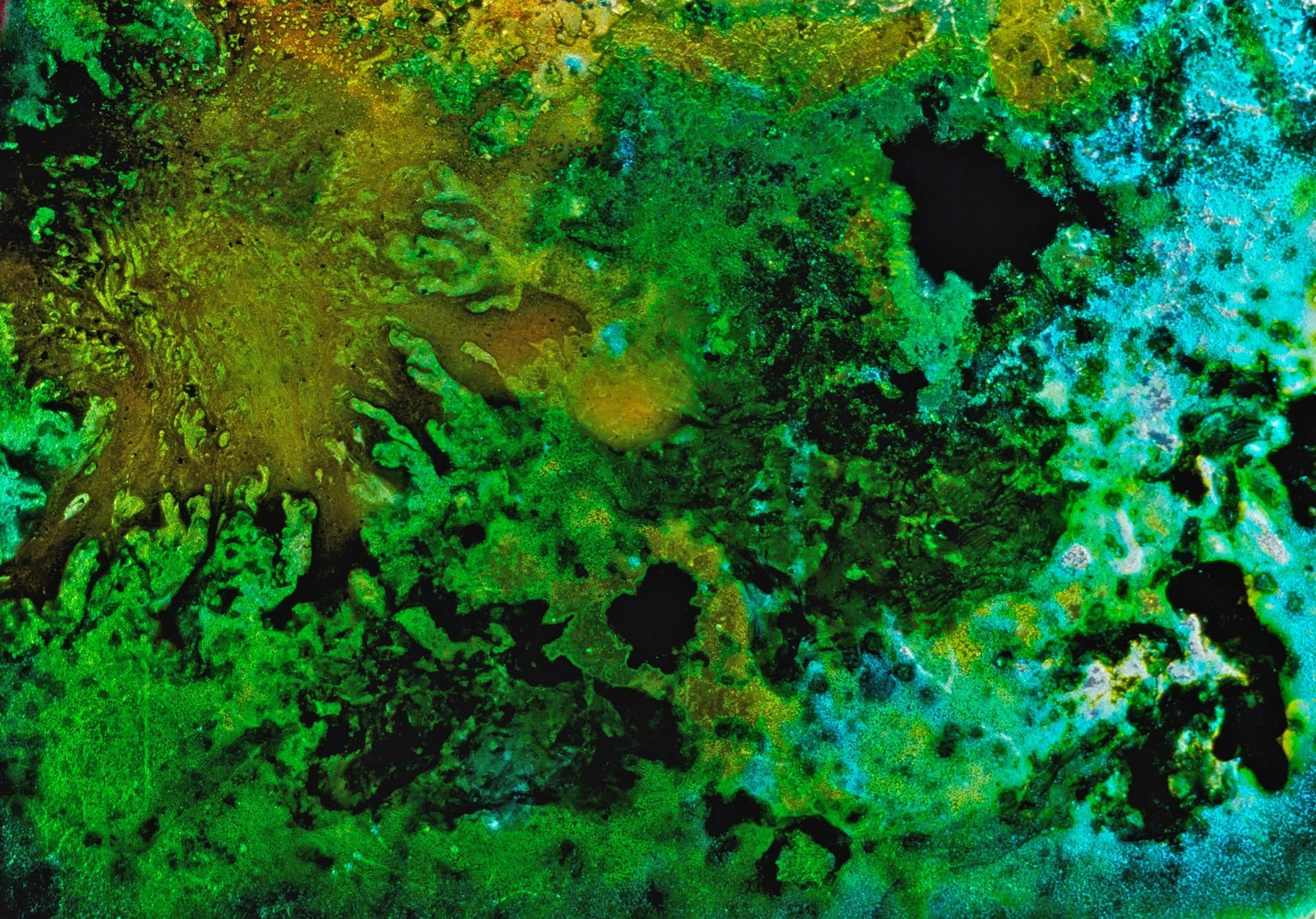 Still from Landfill 16 (2011) ©Jennifer Reeves