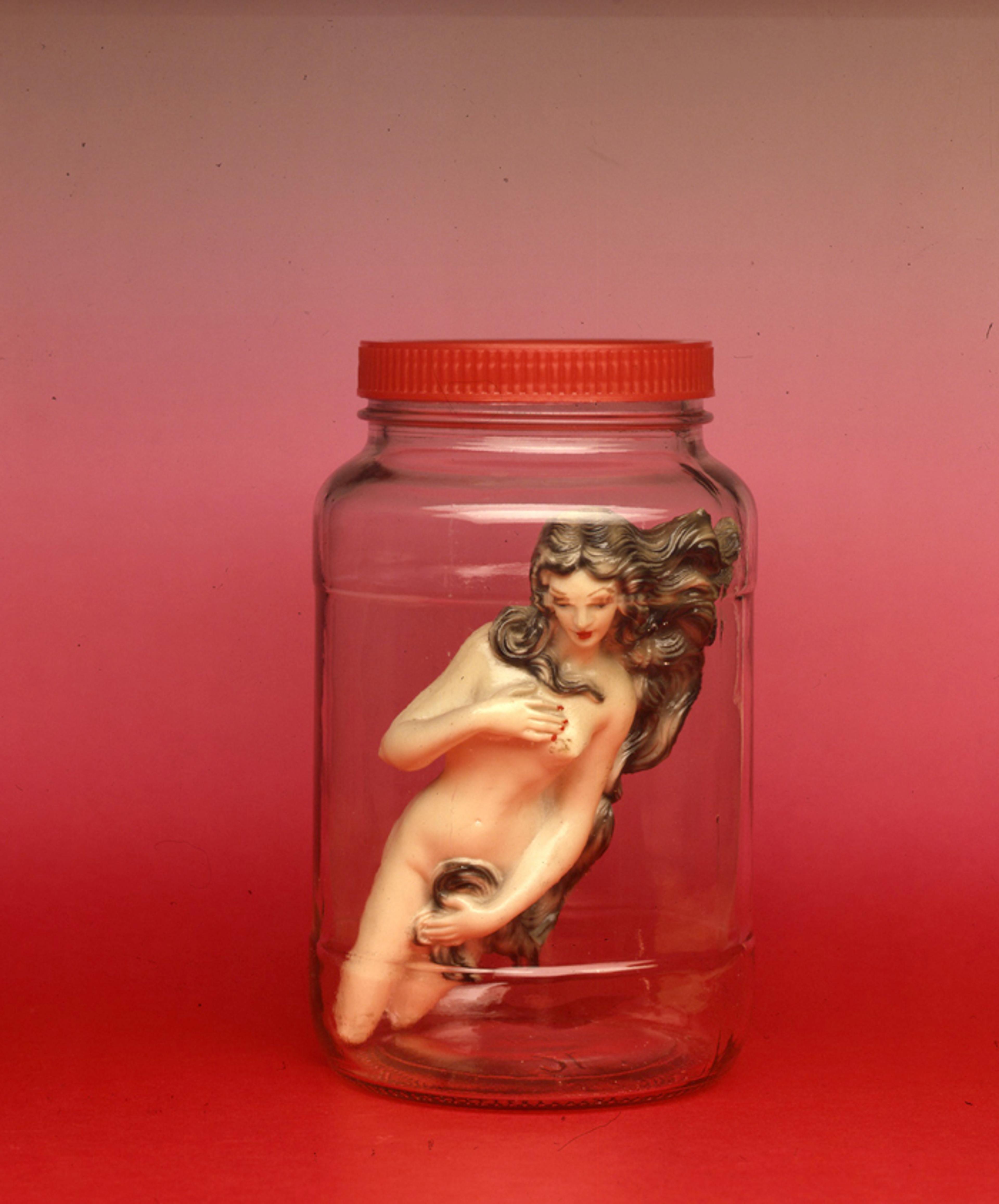 Gülsün Karamustafa, Venus in Jar , 1988