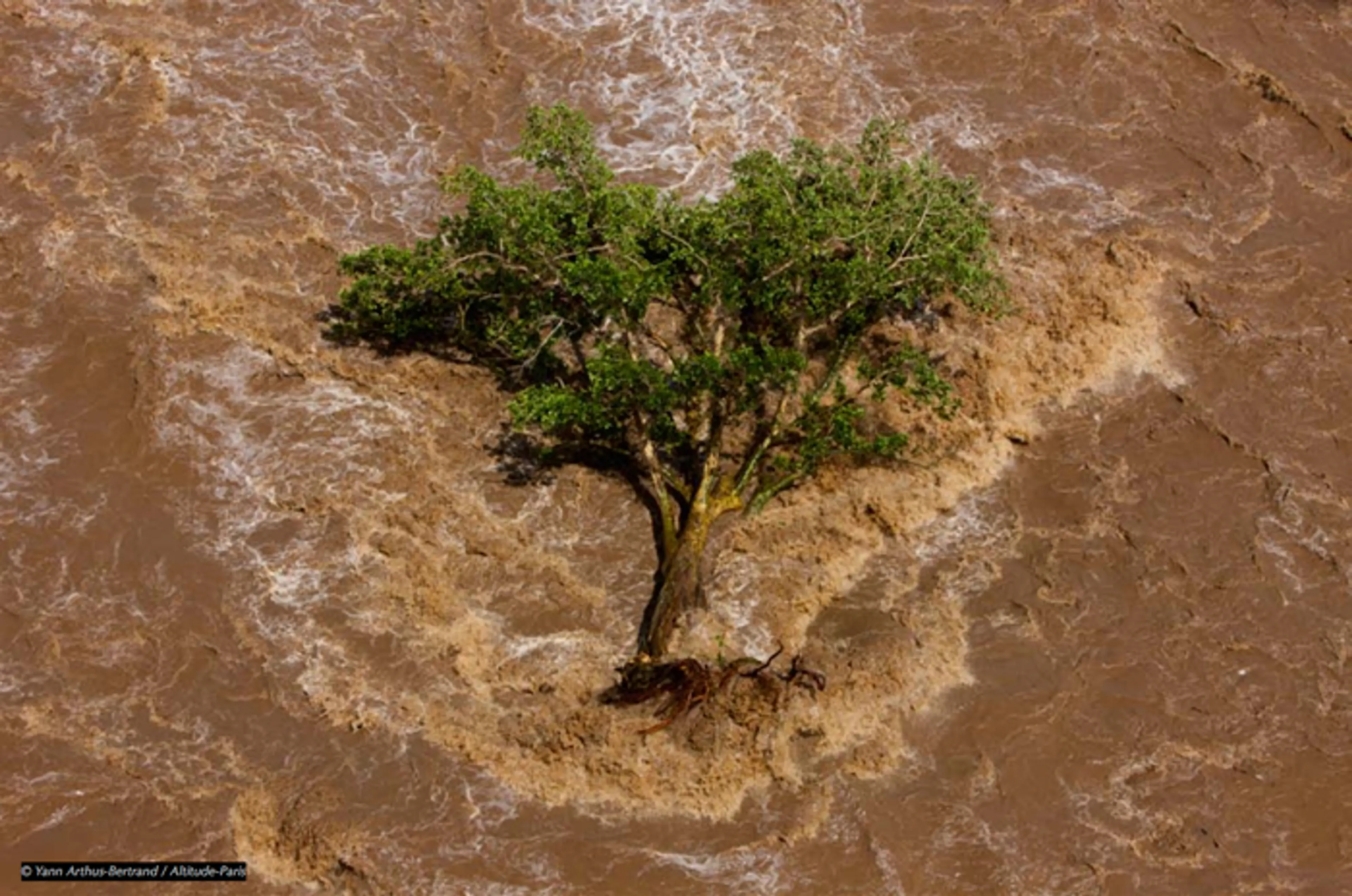 Still from La soif du monde [A thirsty world]