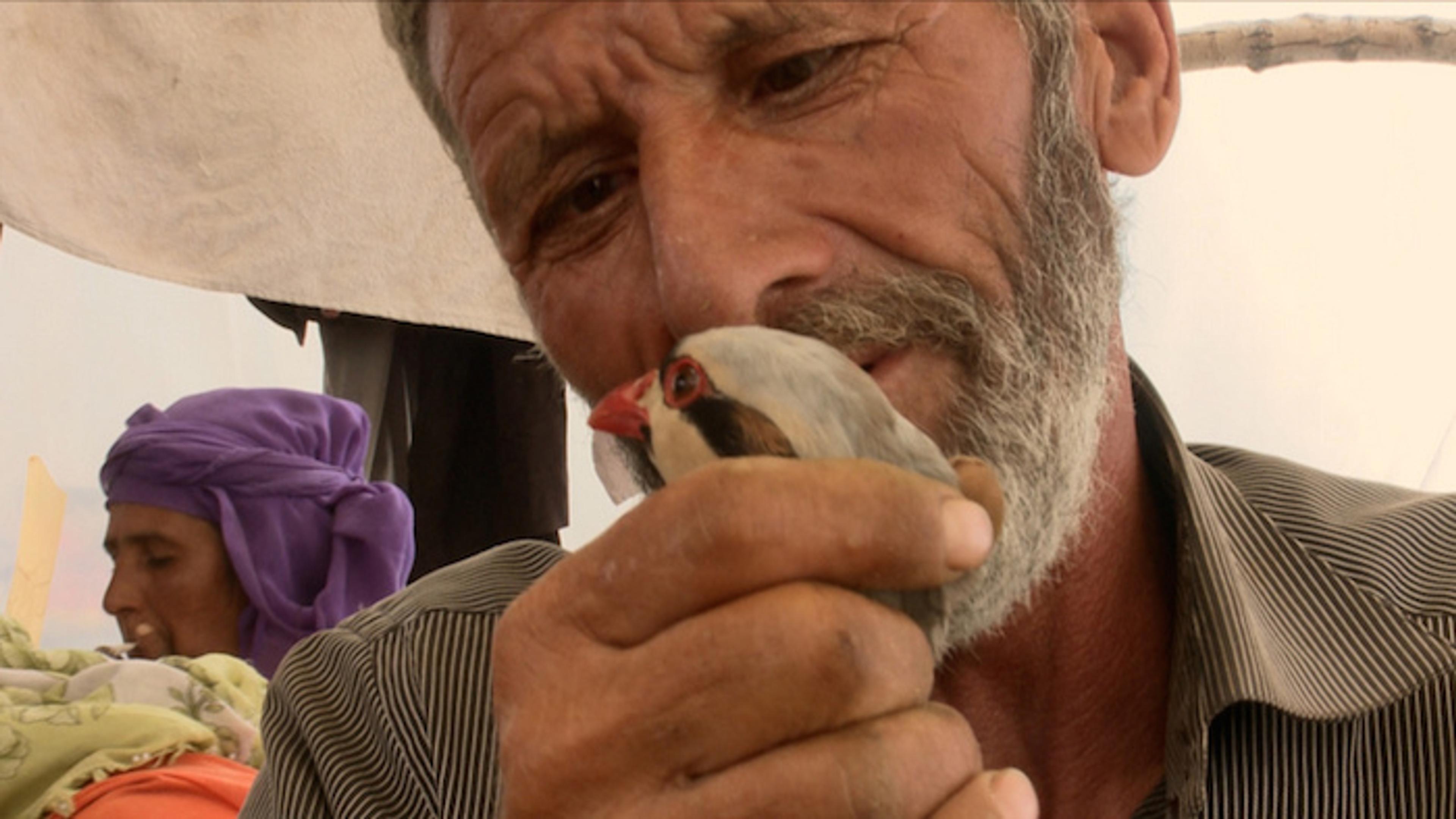 Bir Varmış Bir Yokmuş (2014) filminden bir kare