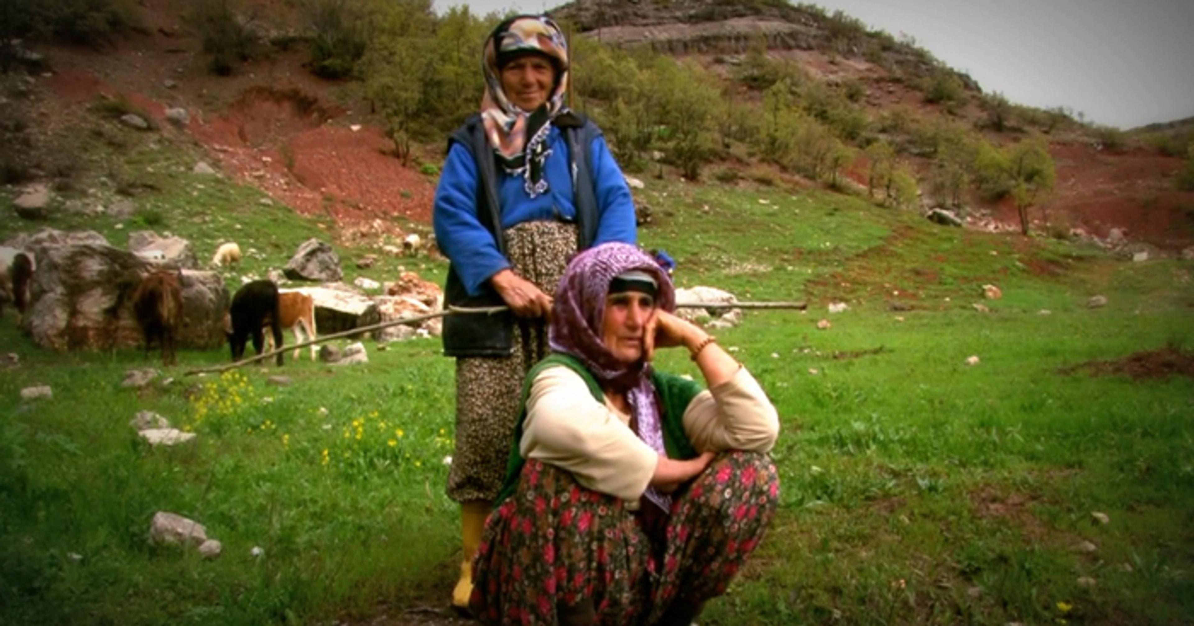 Fecîra , Piran Baydemir, 2013