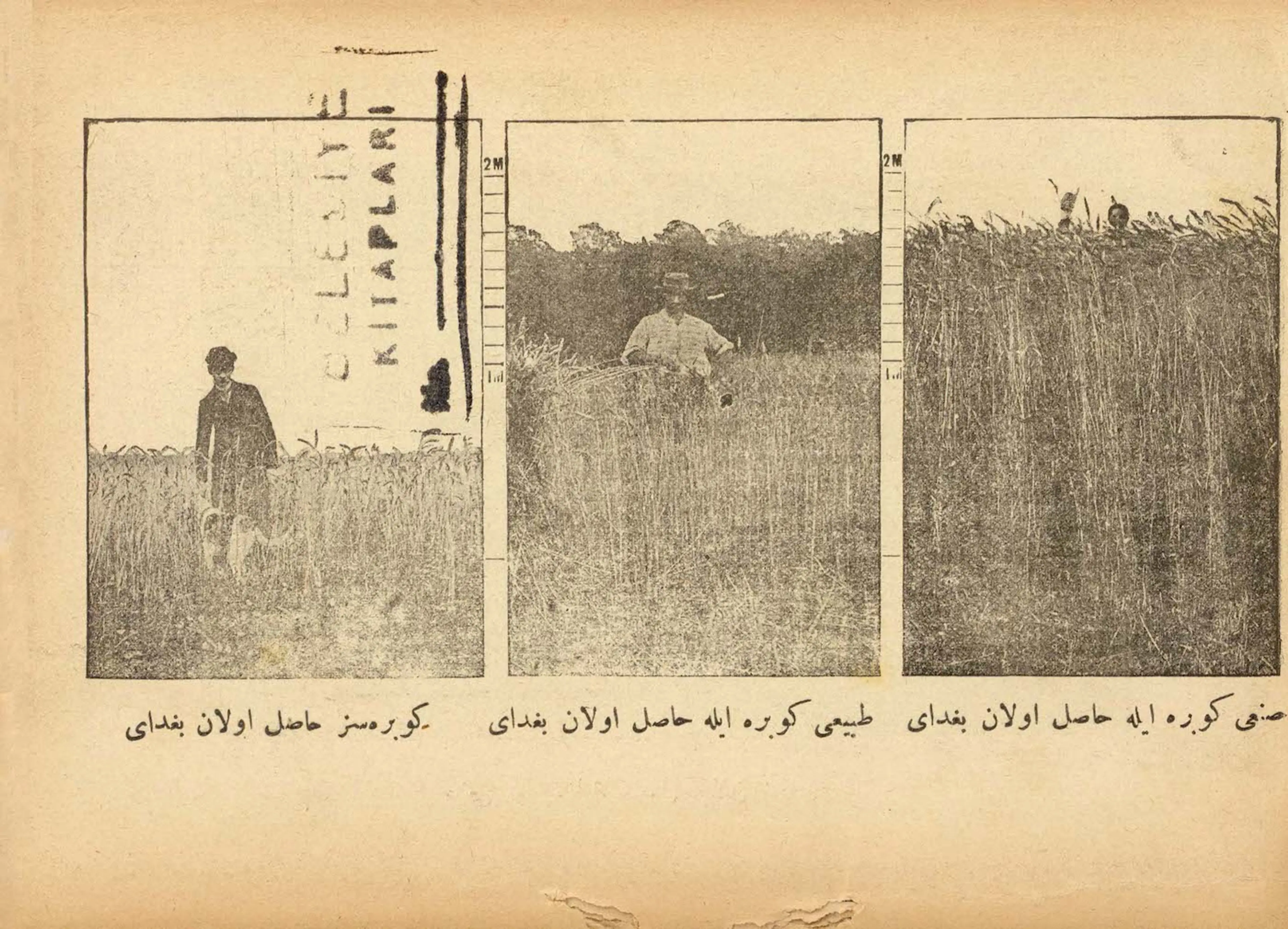 Yield with/without Fertilizer Sun'i Gübre Suret-i Tertib ve Isti'mâli [Artificial Fertilizer and Prevention Models], 1900 Atatürk Library, İstanbul