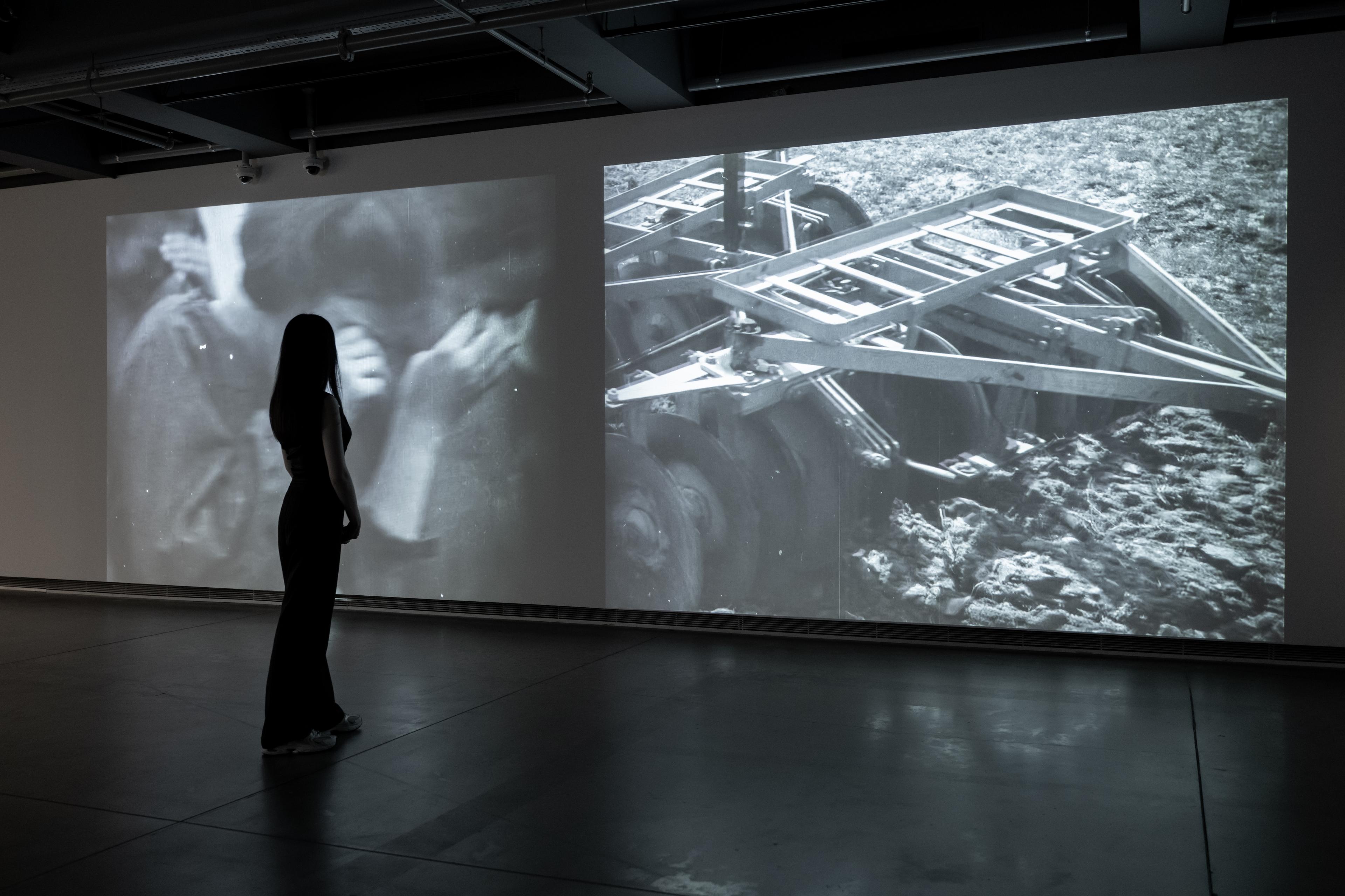 Installation view from the exhibition Dark World Photo: Metean Bars (Salt)