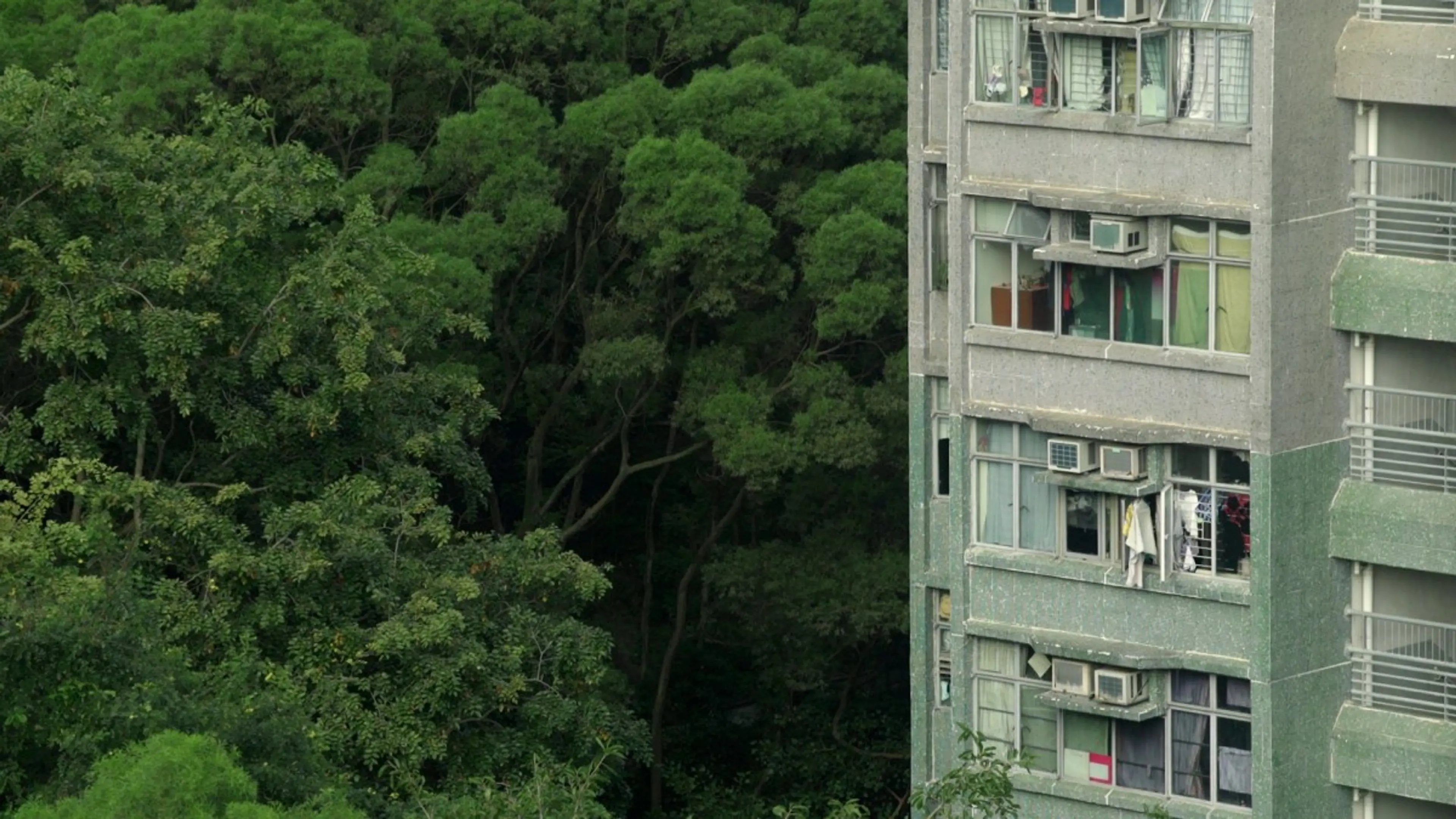 Many Undulating Things [İnişli Çıkışlı Birçok Şey] (2019) filminden bir kare ©BÖC Features