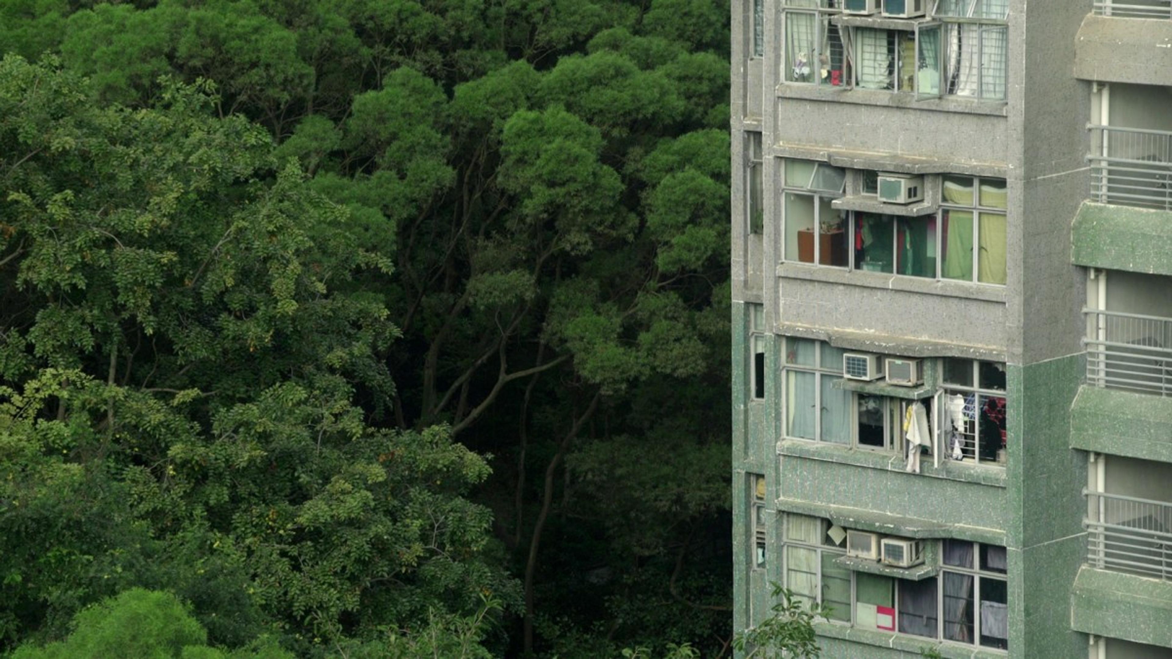 Many Undulating Things [İnişli Çıkışlı Birçok Şey] (2019) filminden bir kare ©BÖC Features