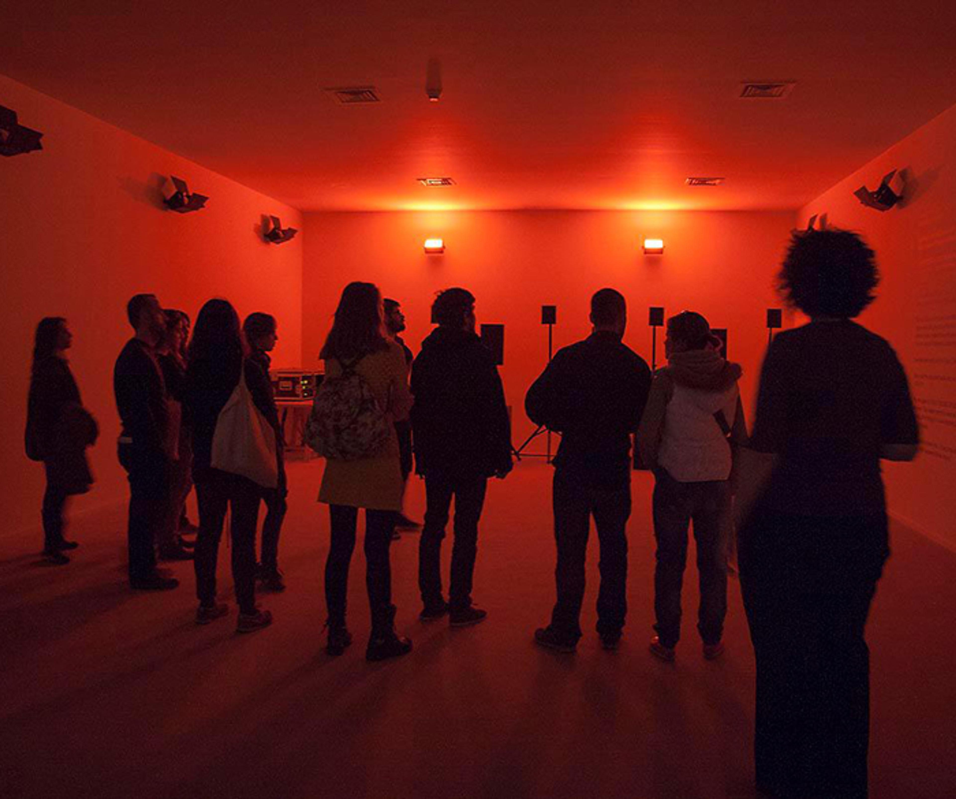 Exhibition Critique Tour by Ali Taptık: Hassan Khan November 2012
