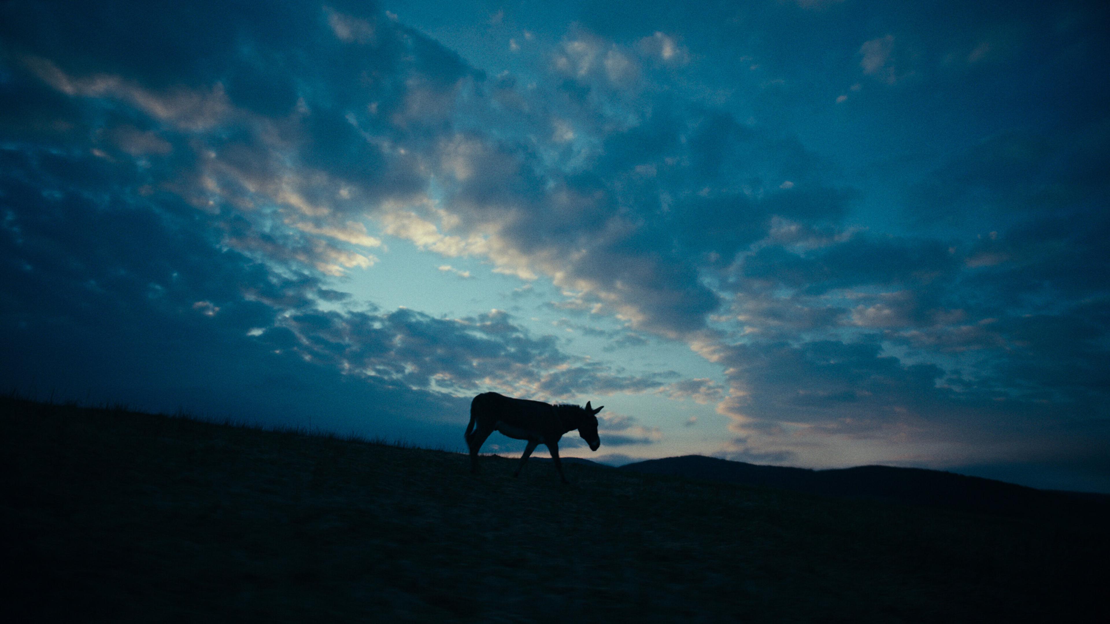 Still from EO (2022) ©Skopia Film, Alien Films