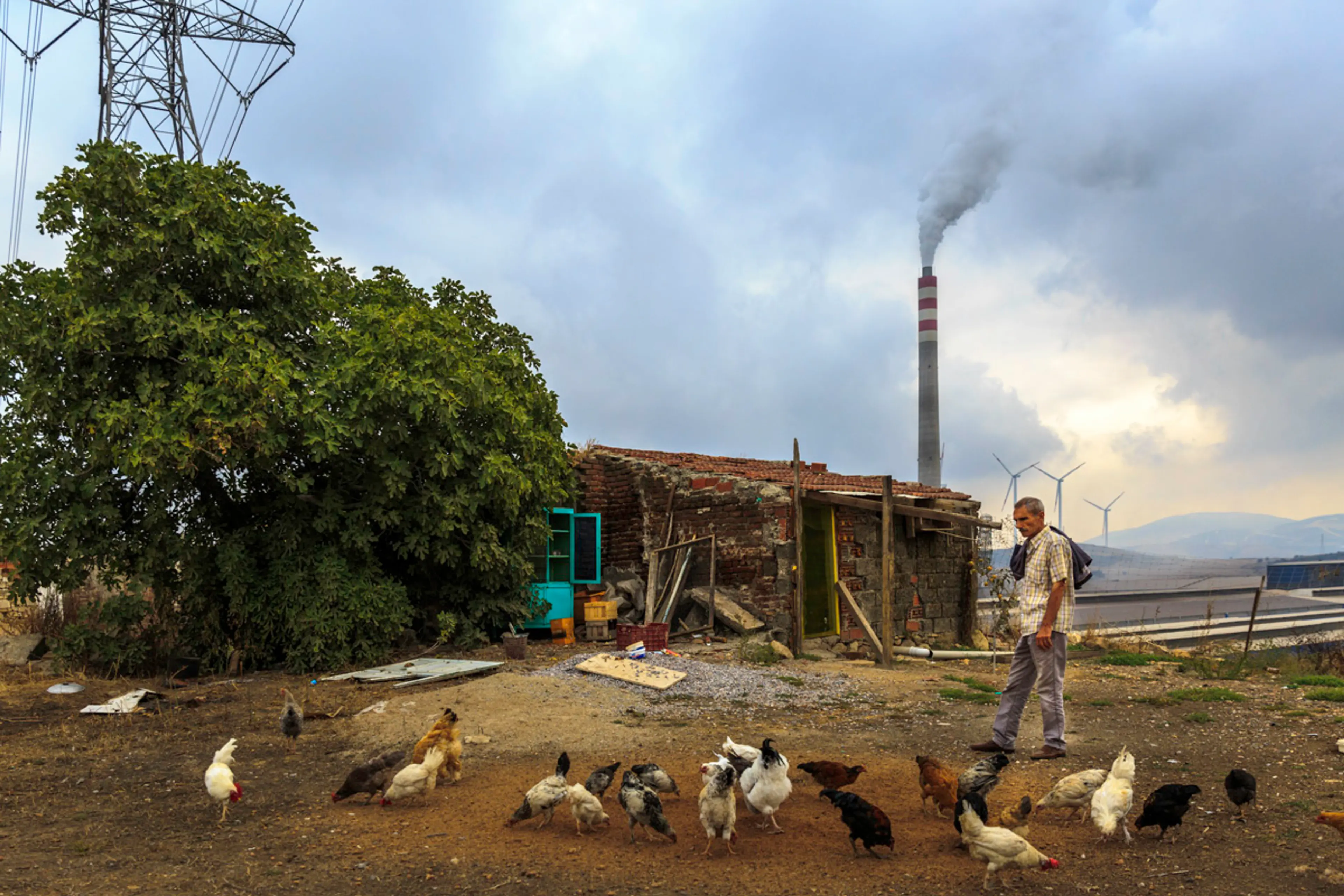 Foça, 2015 Fotoğraf: Kerem Yücel (CAN Europe)