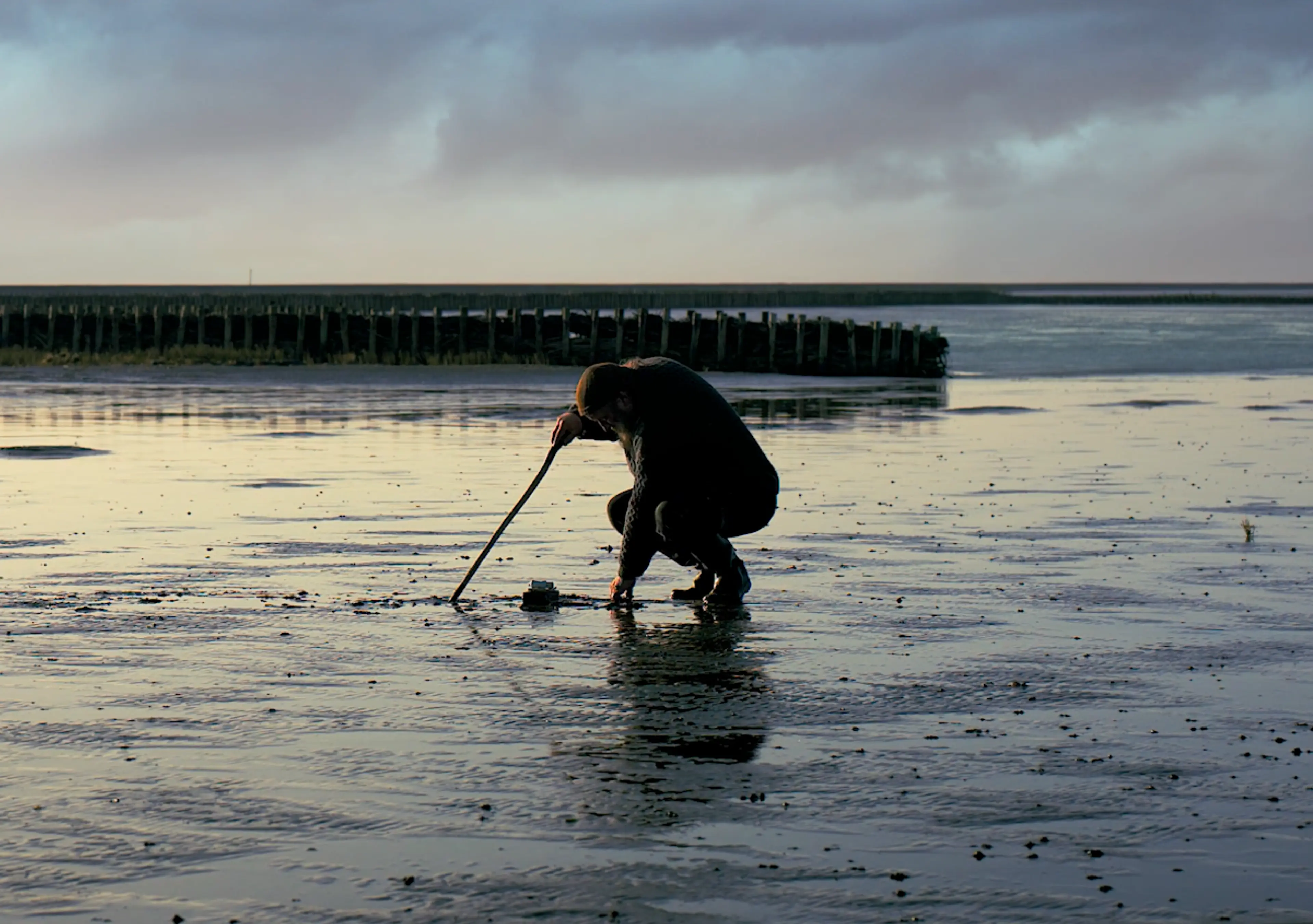 Silence of the Tides [Gelgitlerin Sessizliği] (2021) filminden bir kare ©Annemiek van der Hell