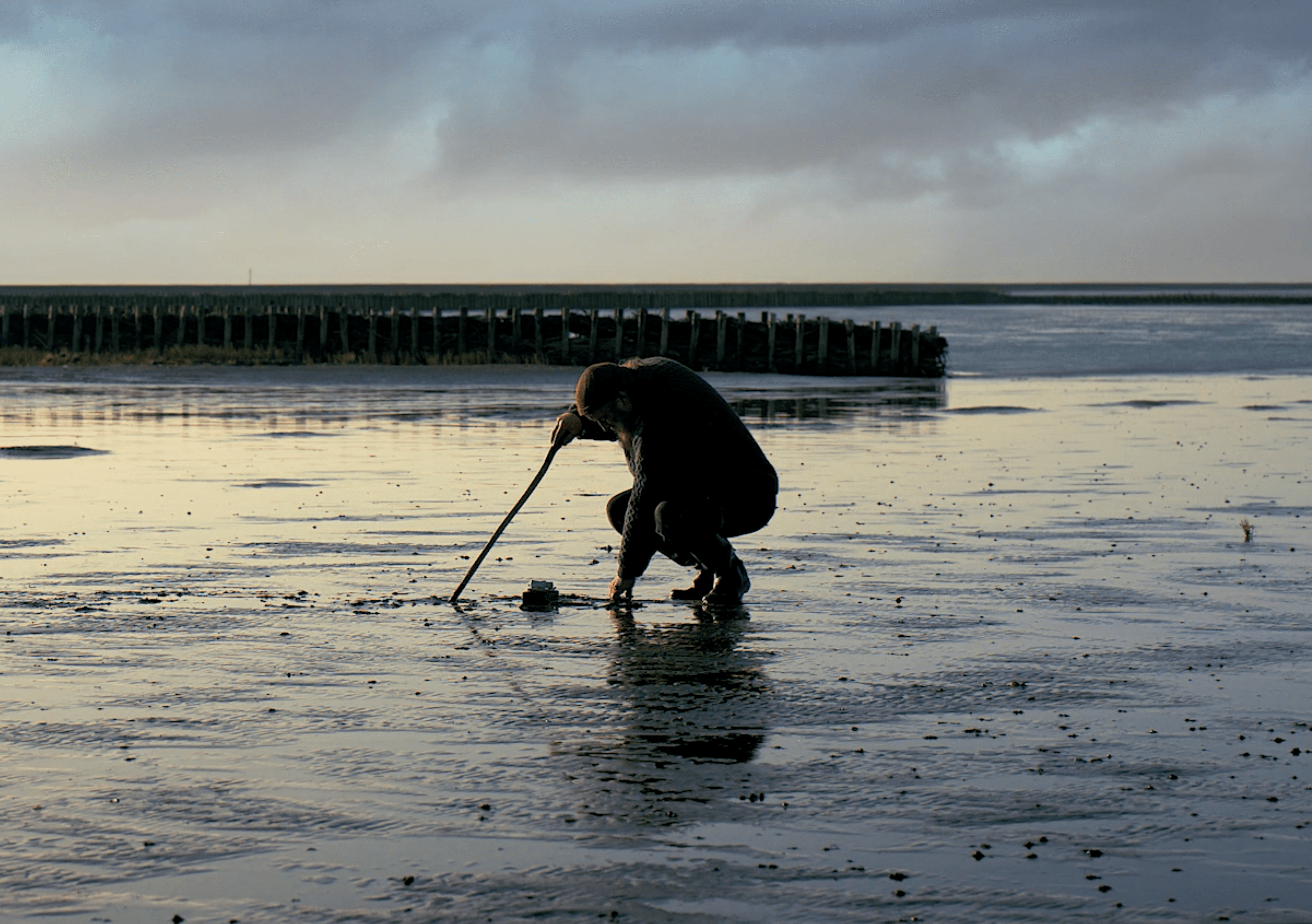 Silence of the Tides [Gelgitlerin Sessizliği] (2021) filminden bir kare ©Annemiek van der Hell