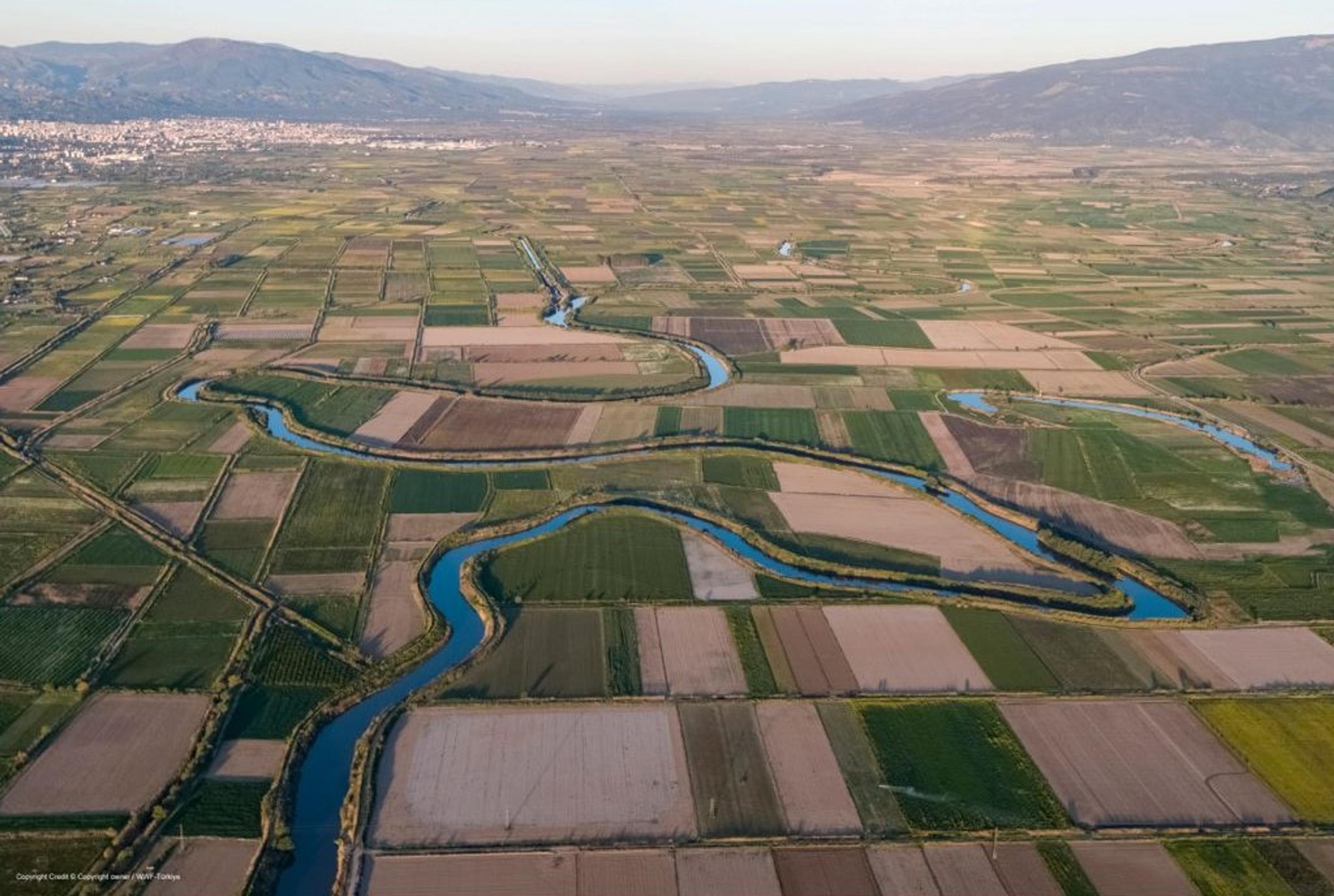 Büyük Menderes Havzası WWF-Türkiye’nin izniyle