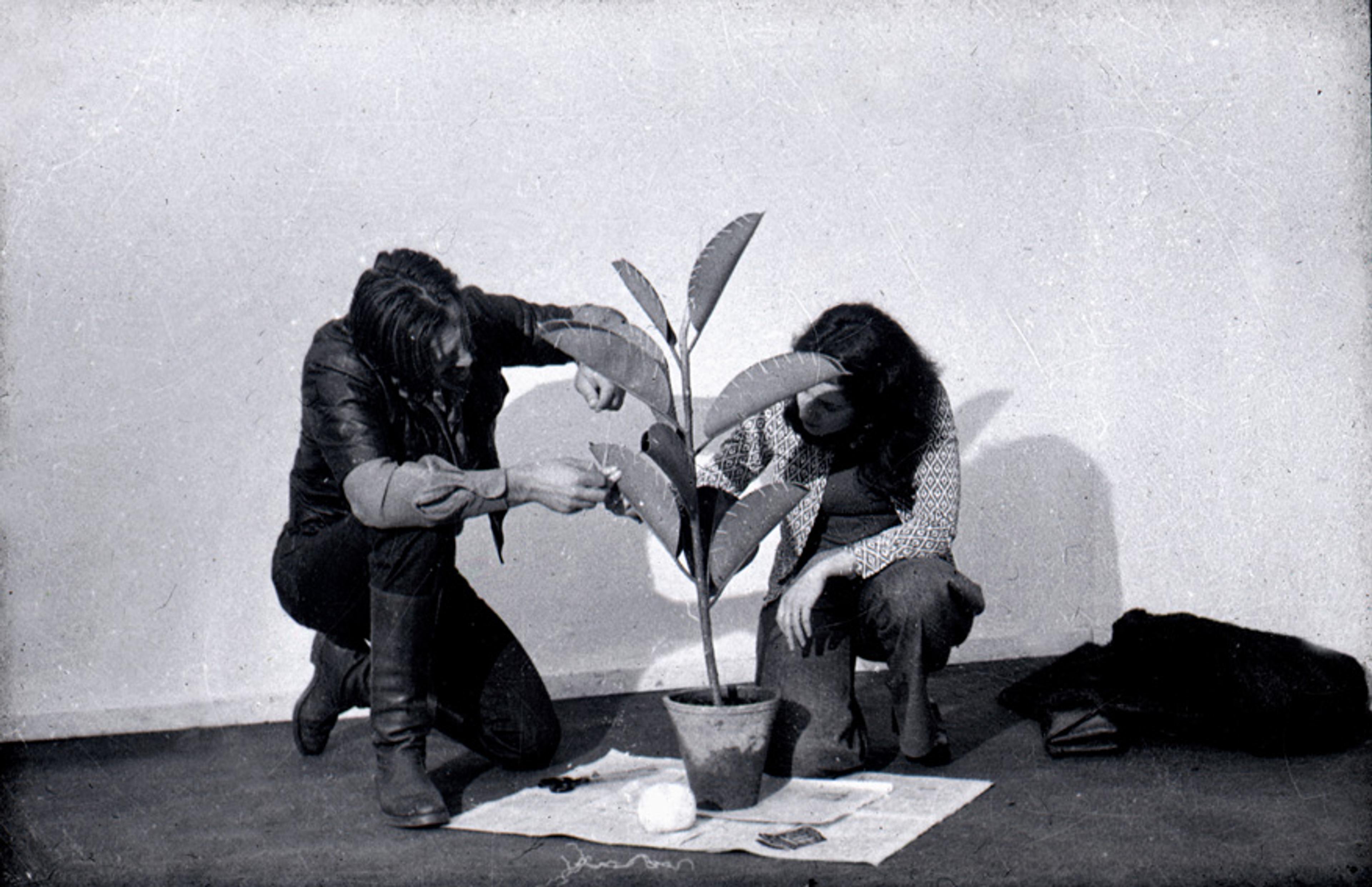 Ilija Šoškić, Sewn–up Ficus (1974, 1989, 2017) Performans kaydından bir kare Sanatçının izniyle