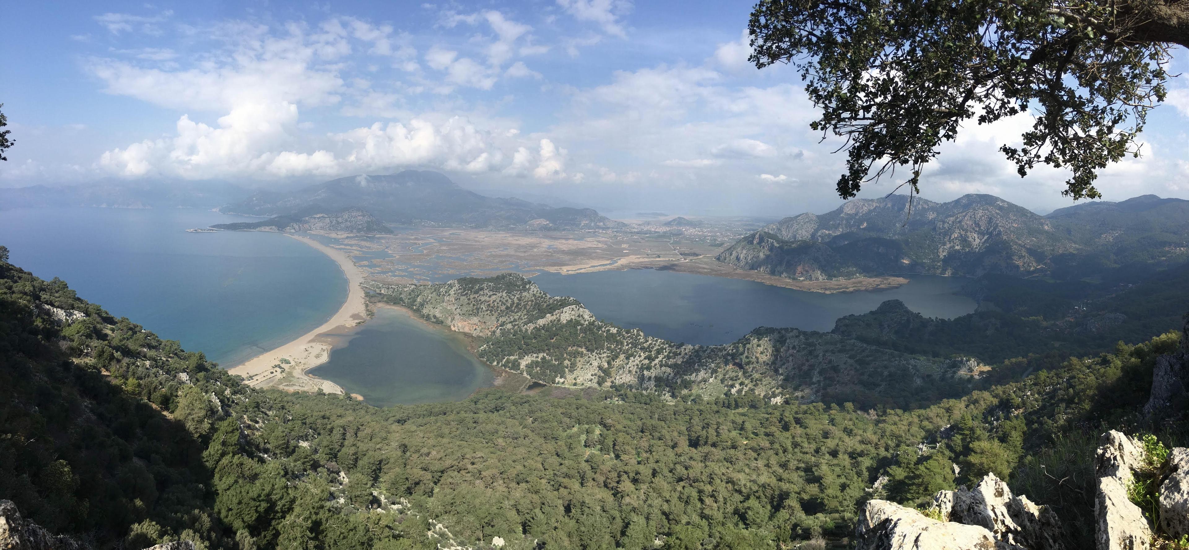 Fotoğraf: Atila Uras, Dalyan, Şubat 2016