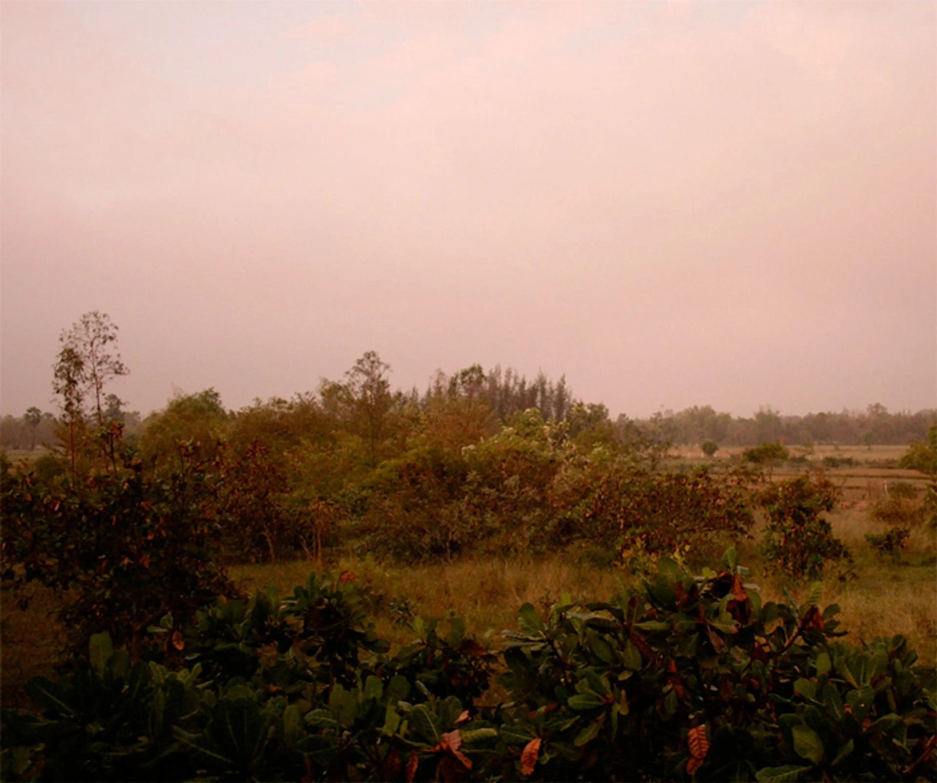 Photograph: Joseph Redwood-Martinez (2012)