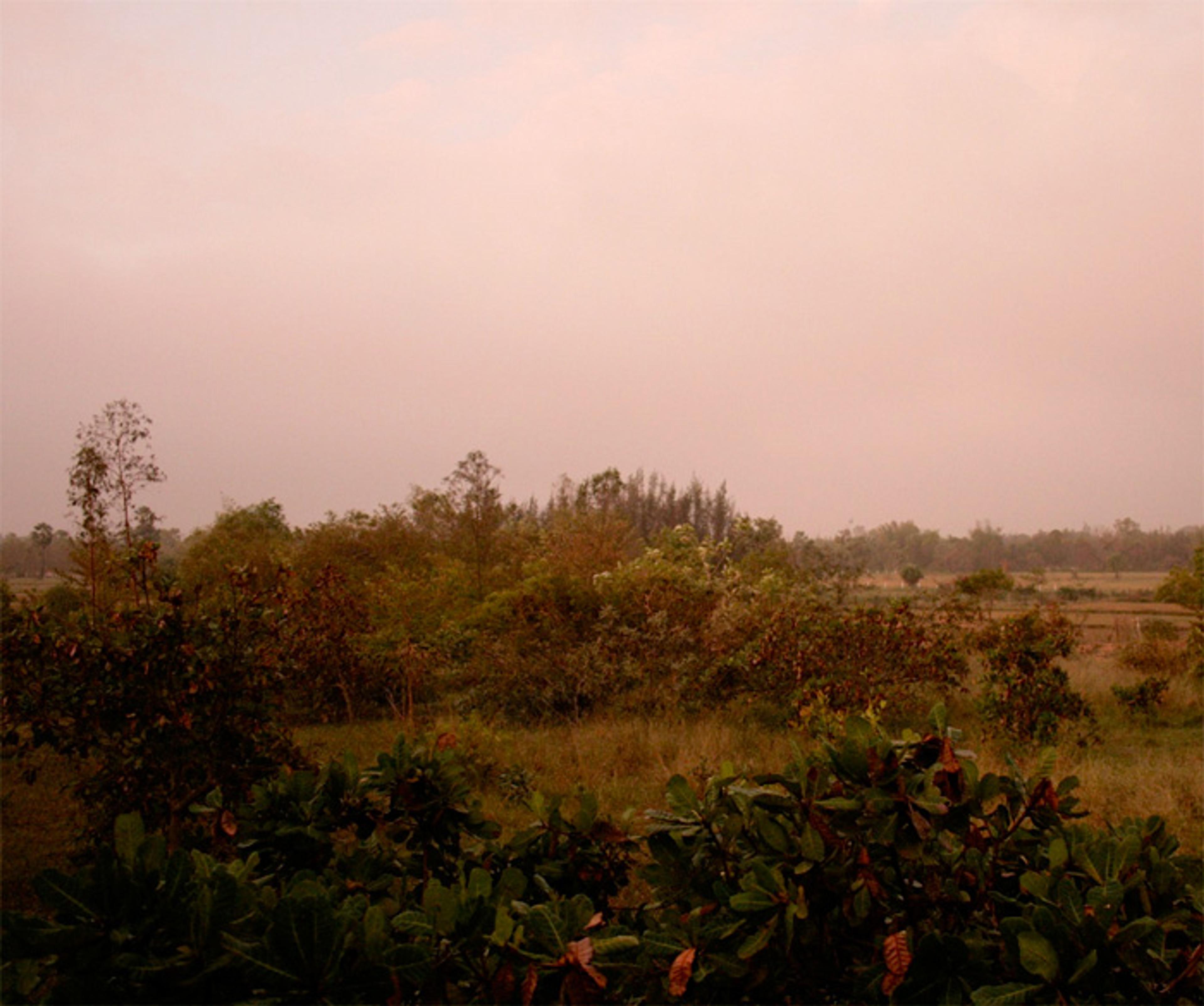 Photograph: Joseph Redwood-Martinez (2012)
