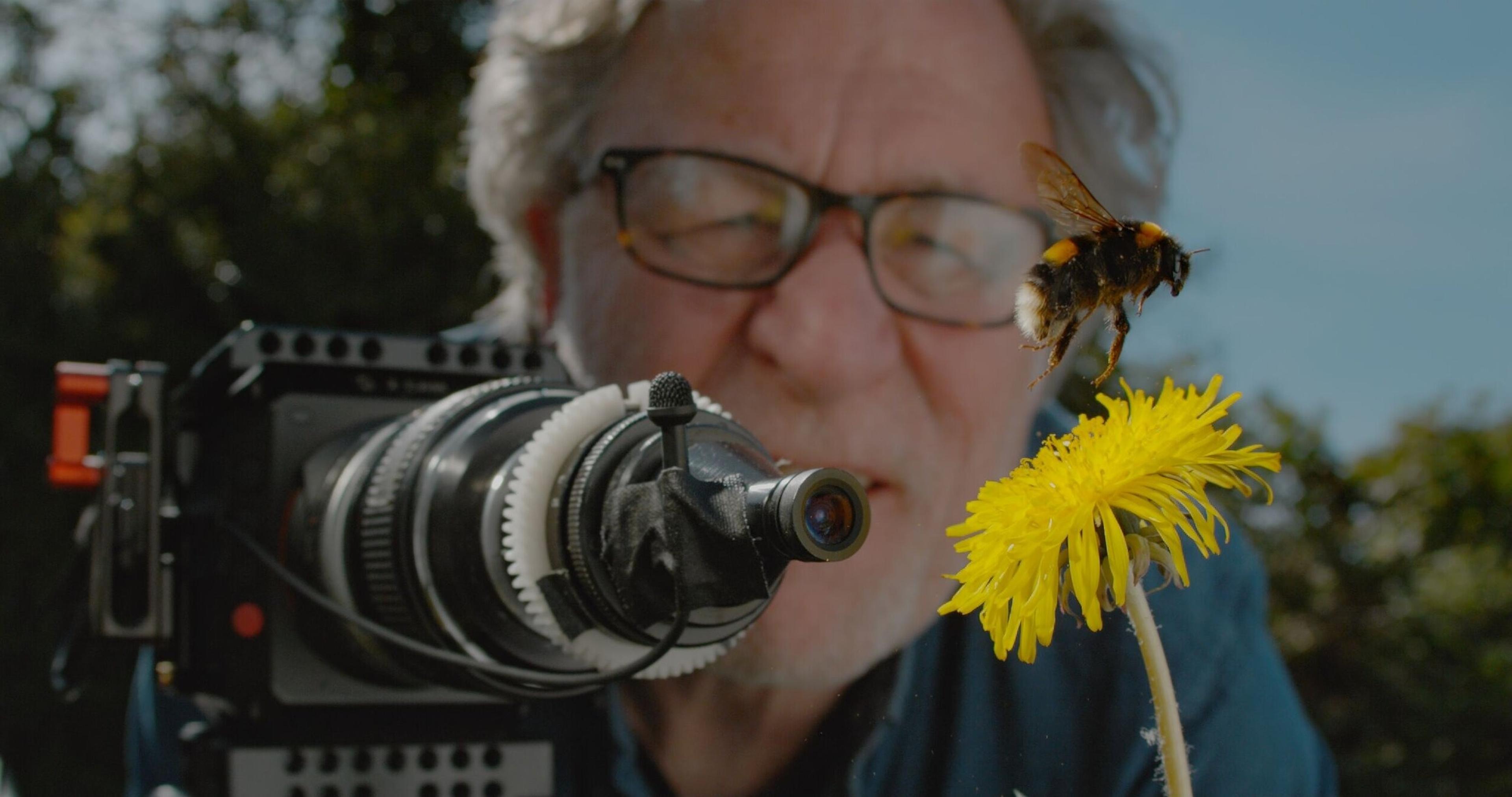 Still from My Garden of a Thousand Bees (2021) ©Martin Dohrn, Passion Planet