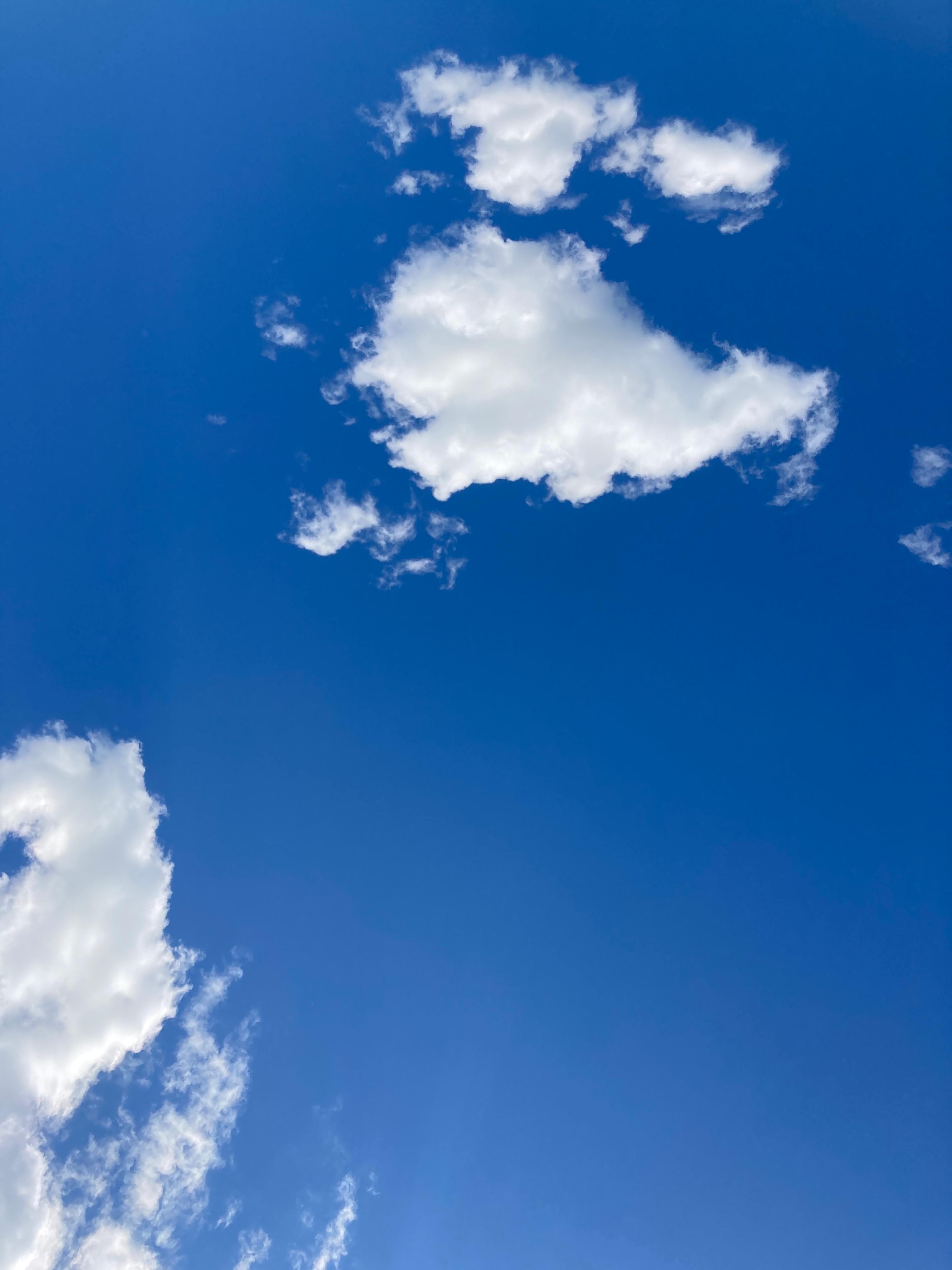 Sky T.V. for Washington, Yoko Ono, 1966/2014, closed-circuit video installation, dimensions variable. Joseph H. Hirshhorn Purchase Fund, 2016. Photography by William Andrews. Hirshhorn Museum and Sculpture Garden.