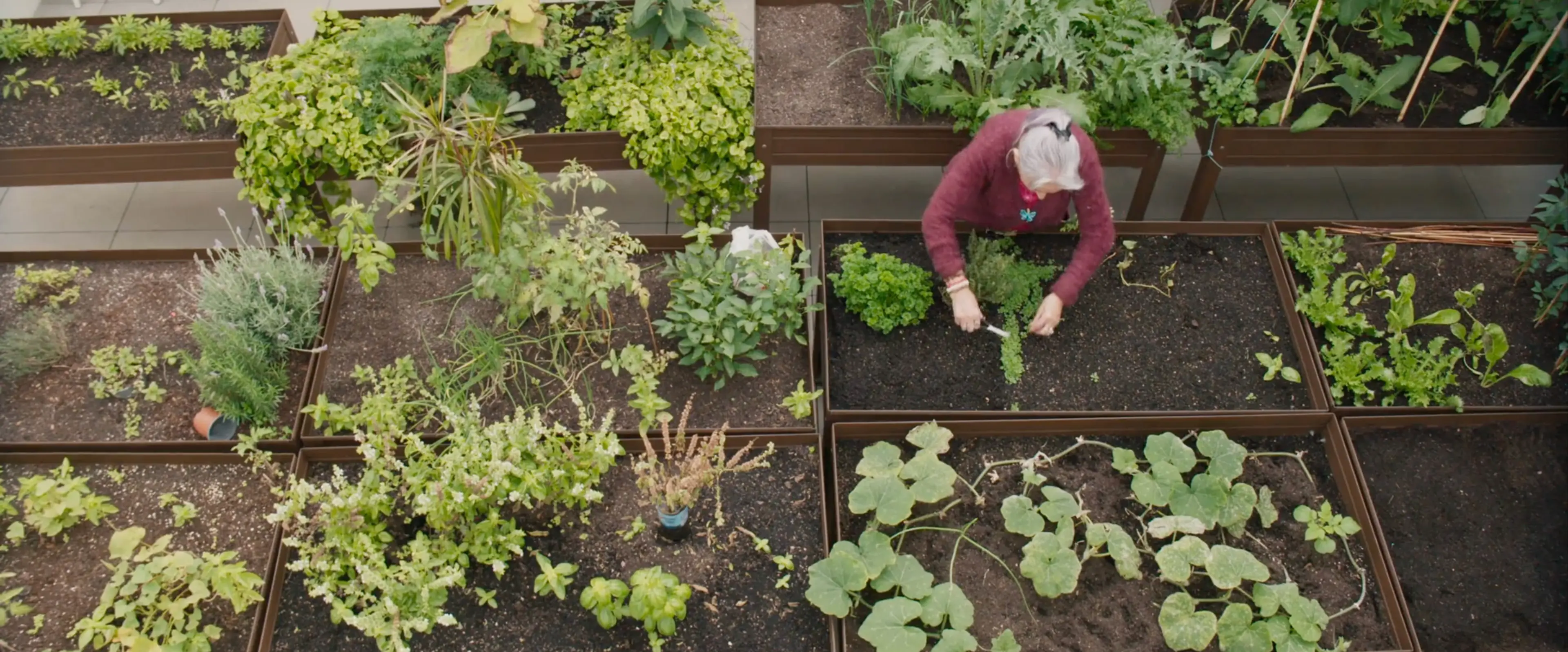 Where We Grow Older [Yaşlandığımız Yer] (2023) filminden bir kare ©Canadian Centre for Architecture