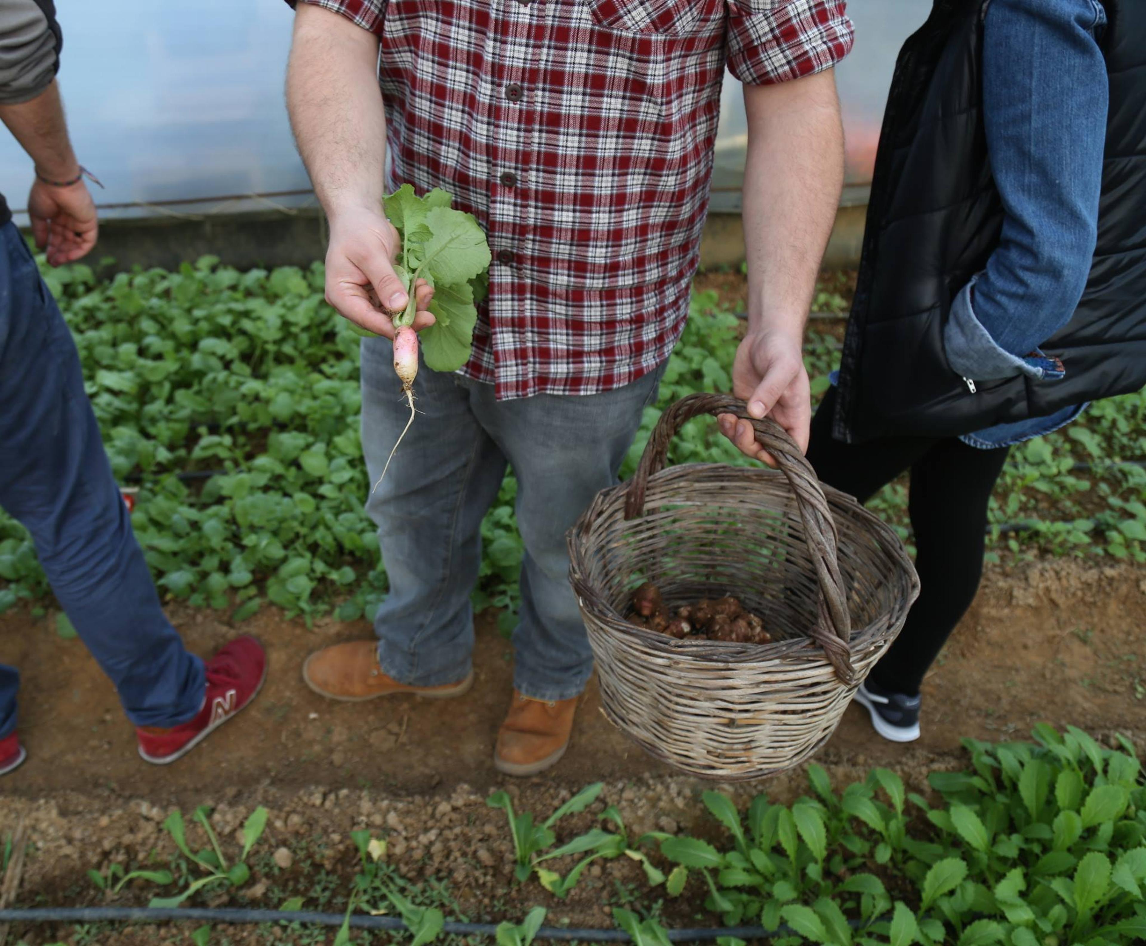 Urban Warriors of Real Food