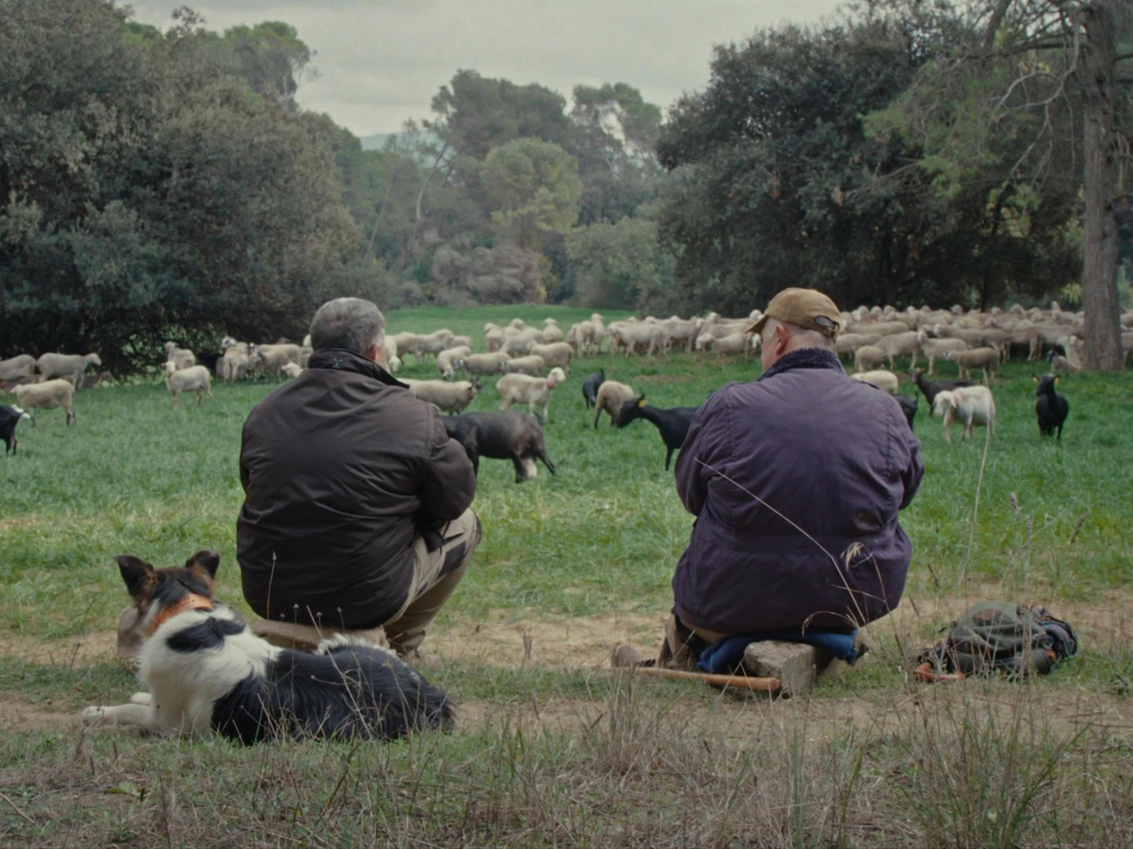Fauna (2023) filminden bir kare ©Taskovski Films