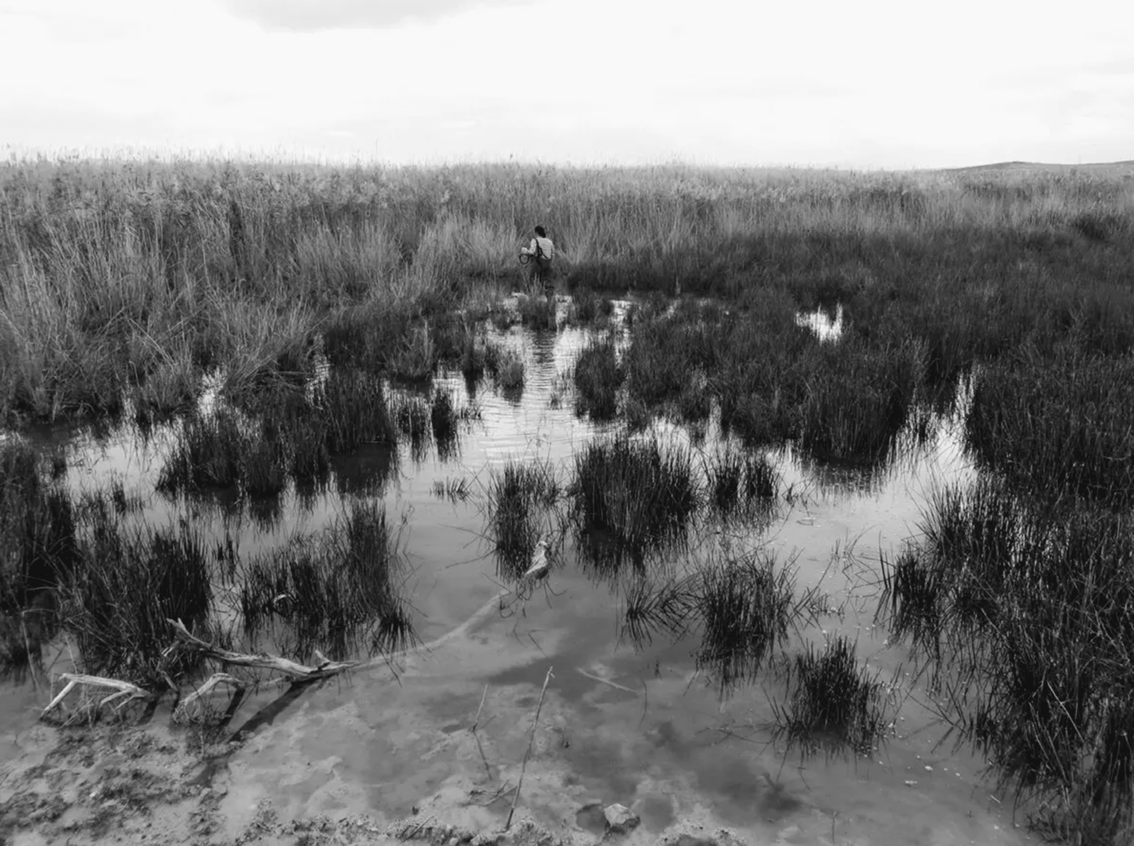 Mapping the reeds in the Gediz Delta, İzmir, 2013 Photo: Caterina Scaramelli