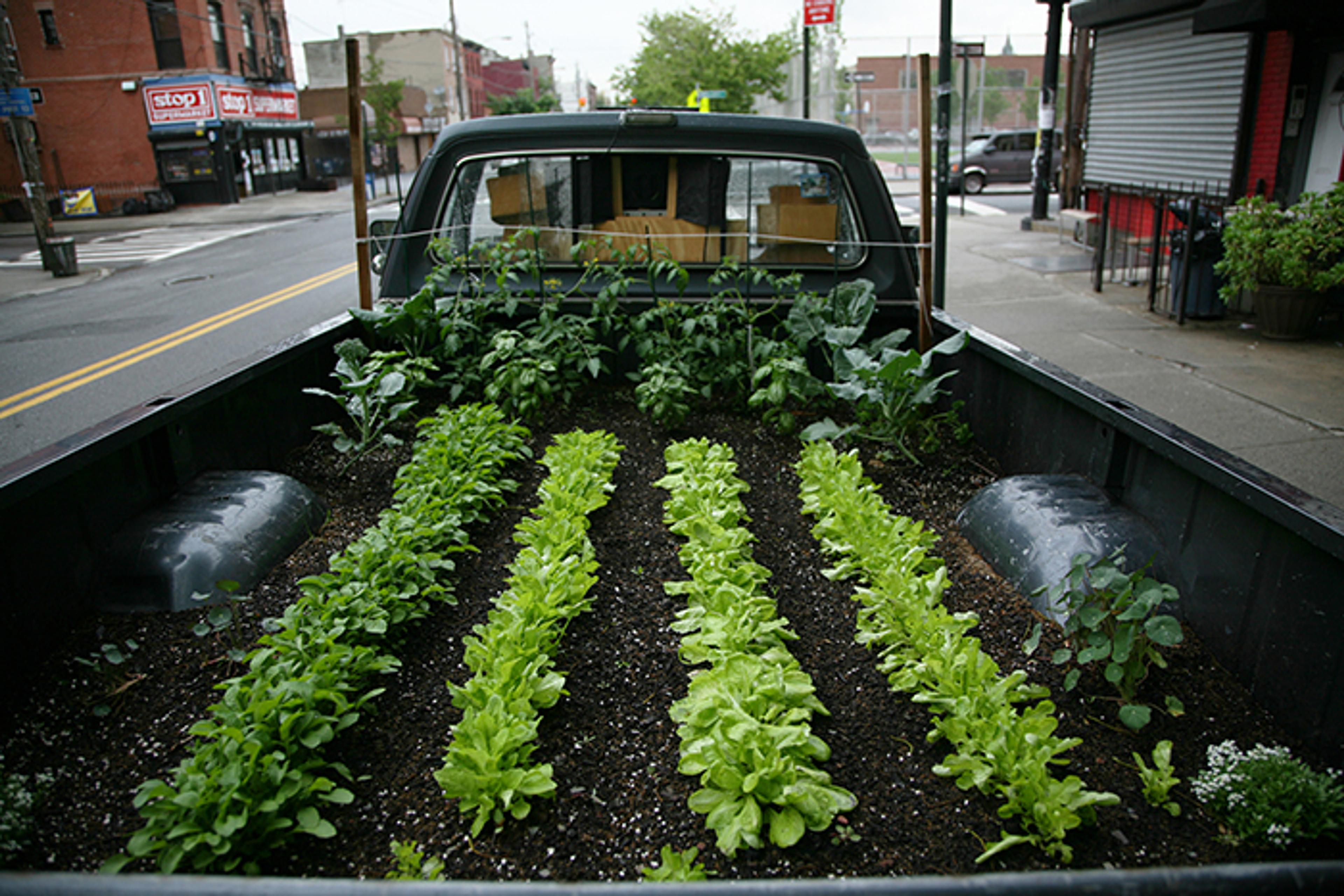 Truck Farm [Kamyonet Tarlası] (2011) filminden bir kare ©Bullfrog Films
