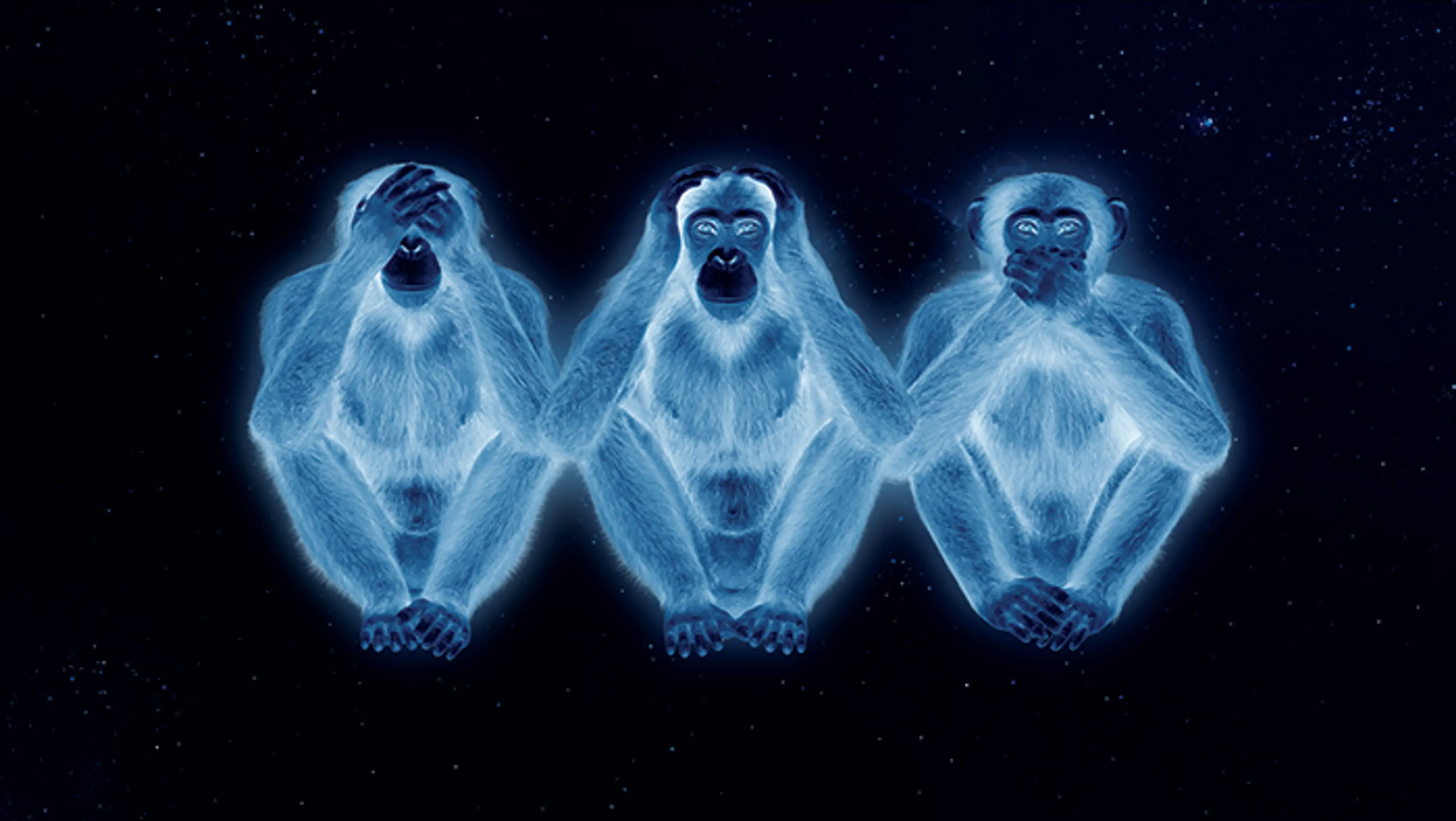 Still from the video Swinging on the Stars (2013) by Hale Tenger Courtesy the artist, Galeri Nev, and Collection of Tüten and Agah Uğur
