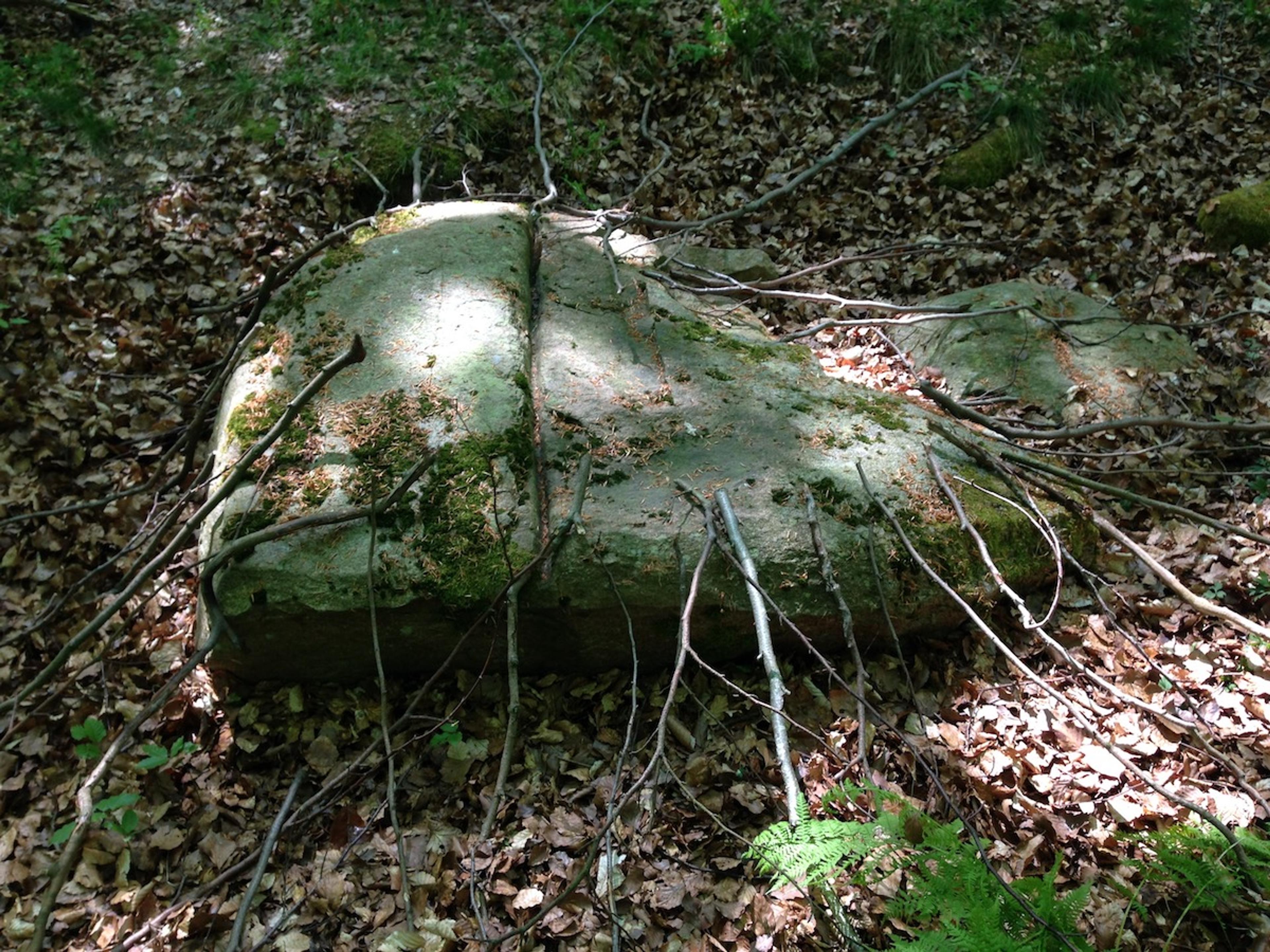 ANA , Oda Projesi, Kopenhag, 2016 (Courtesy Oda Projesi)