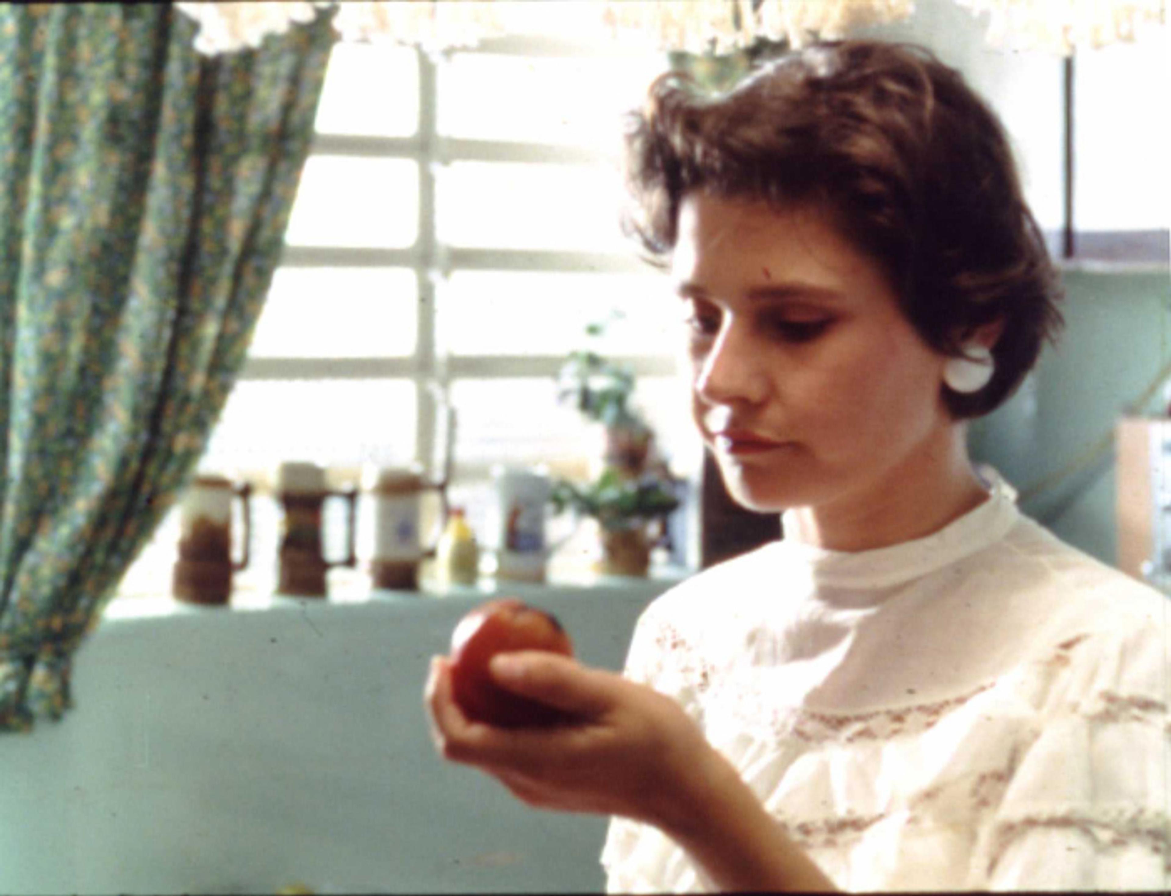 Ilha das Flores [Çiçekler Adasi / Island of Flowers], Jorge Furtado, 1989