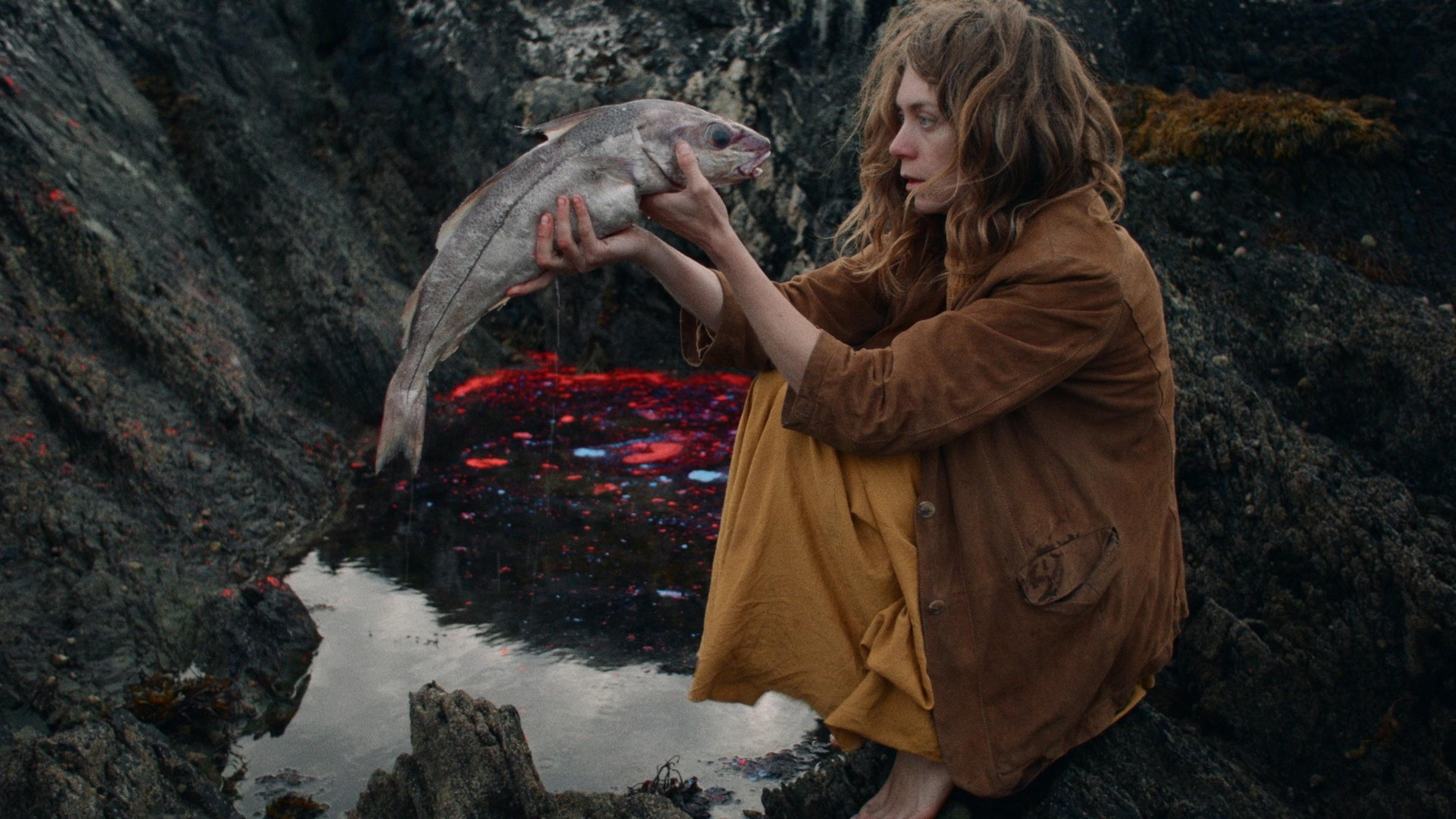 Still from Wander Rosa Friedrich, 2022