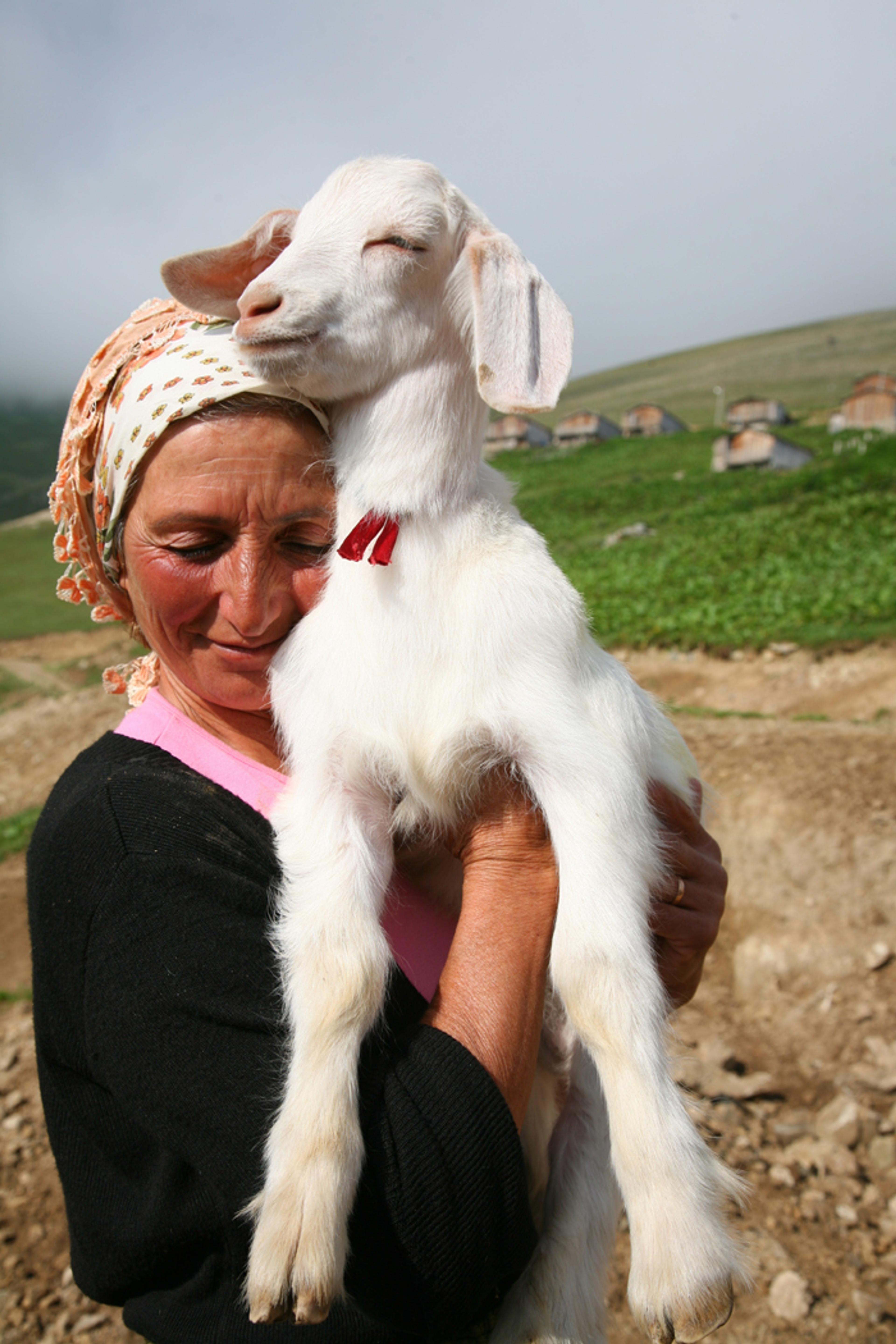 Bir Avuç Cesur İnsan (2011)