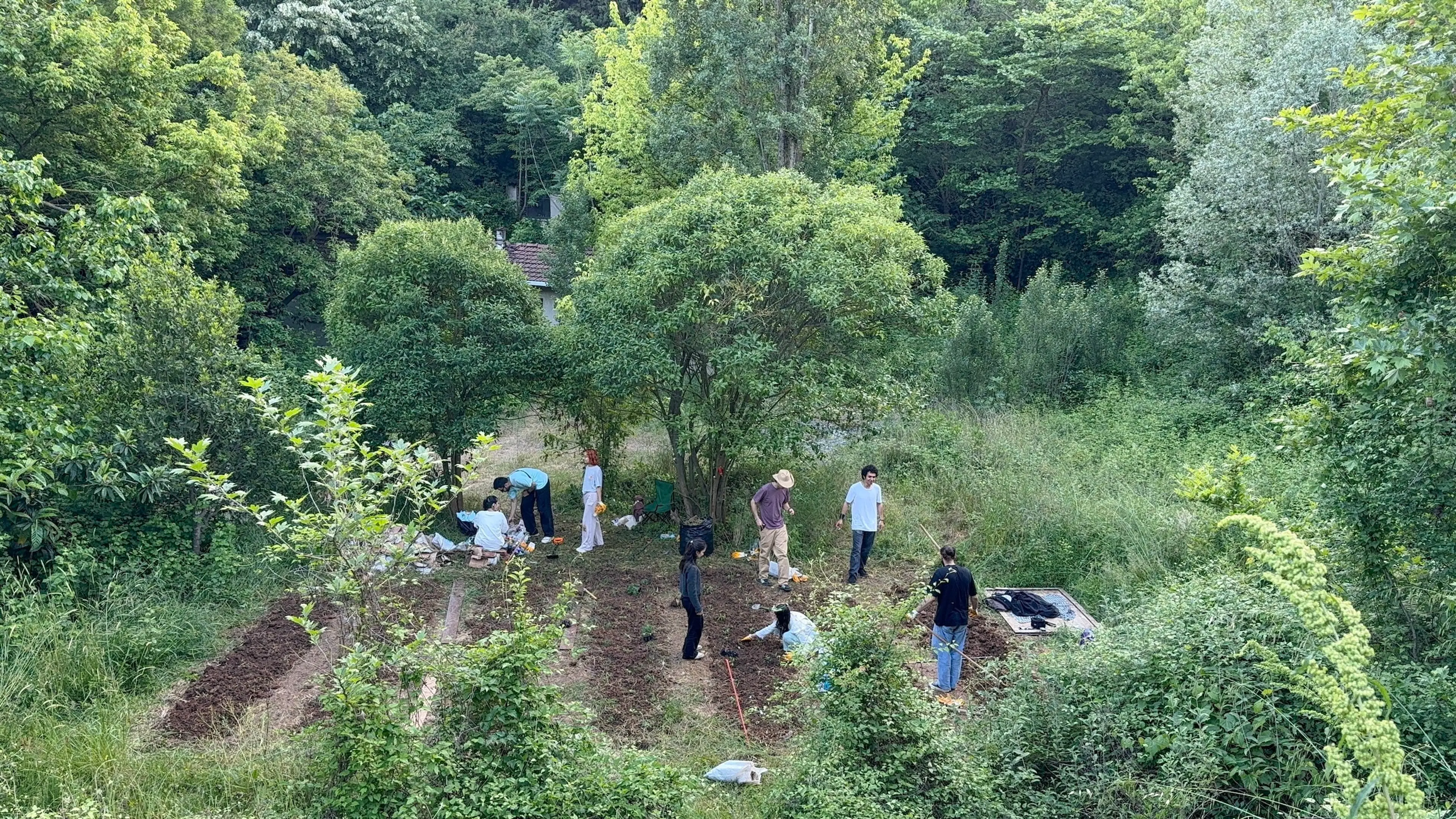 Ayazağa Bostanı, İstanbul Teknik Üniversitesi, 2025 Fotoğraf: Fırat Karakurt