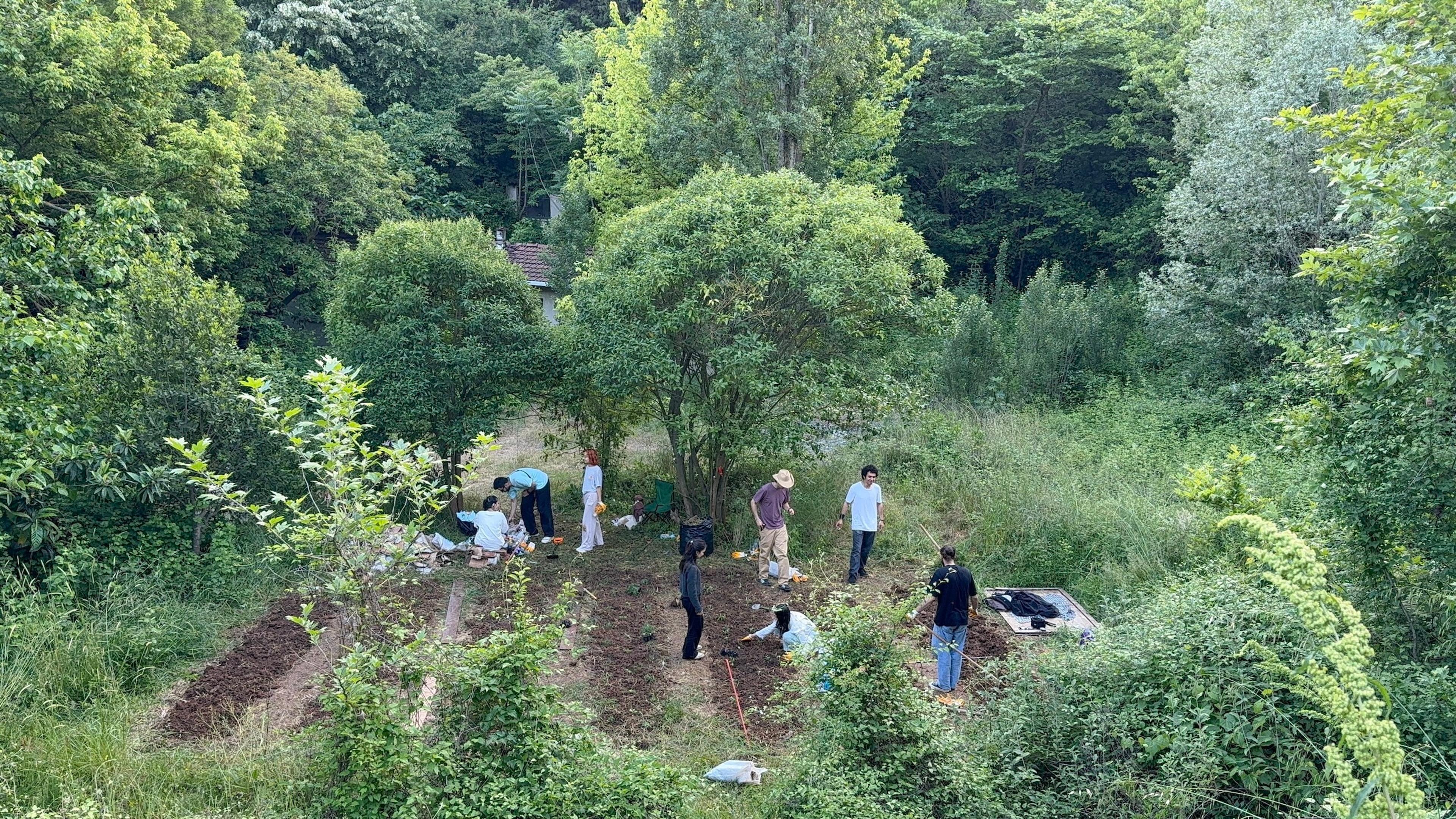 Ayazağa Bostanı, İstanbul Teknik Üniversitesi, 2025 Fotoğraf: Fırat Karakurt