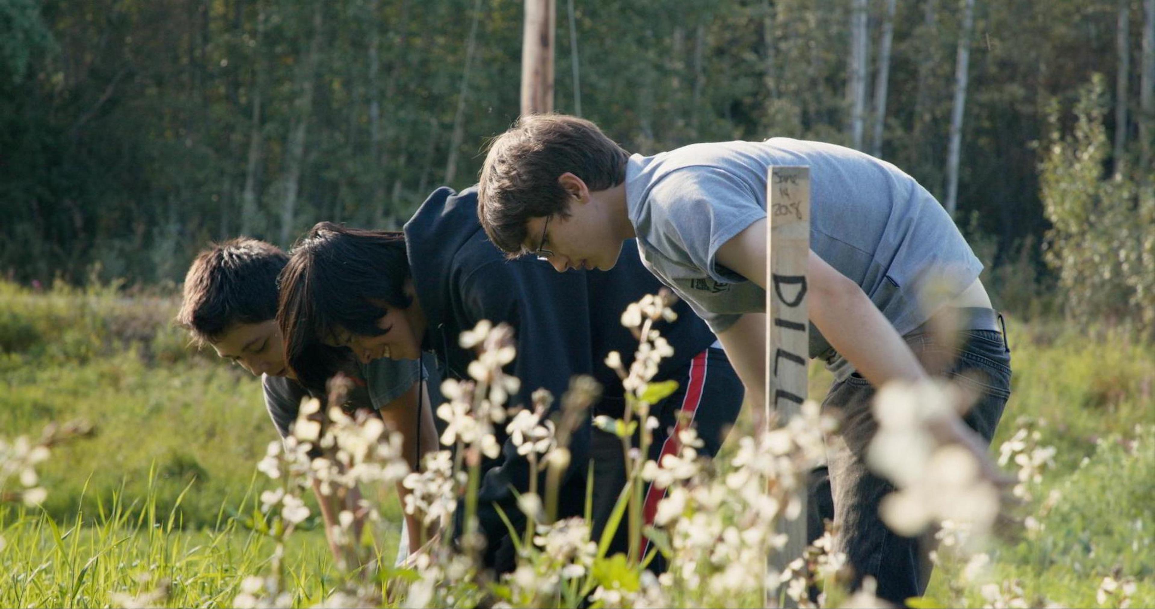 Sovereign Soil [Yüce Topraklar] (2019) filminden bir kare ©National Film Board of Canada