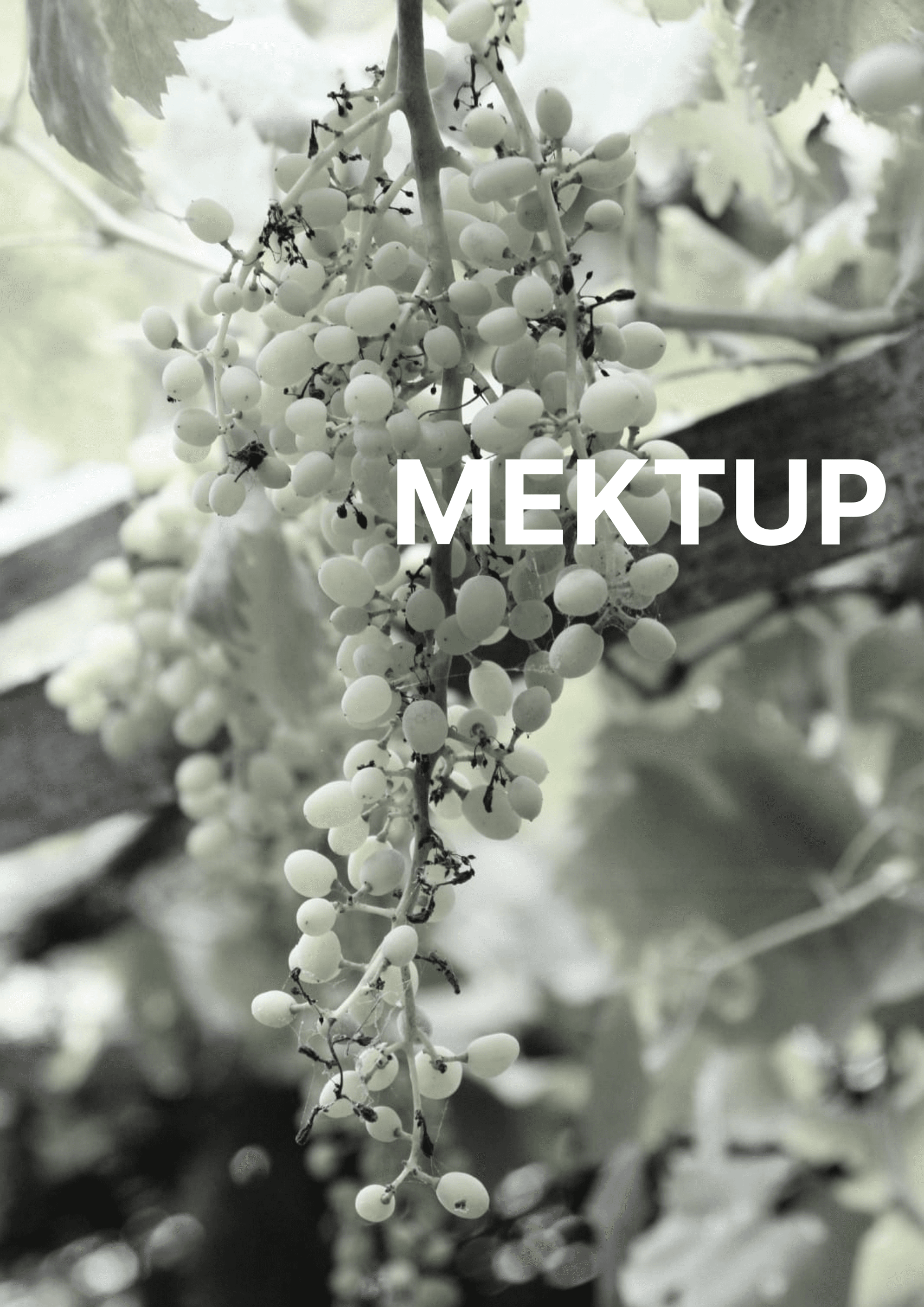 Photo: Şima Uyar (Design: Ezgi Türker)